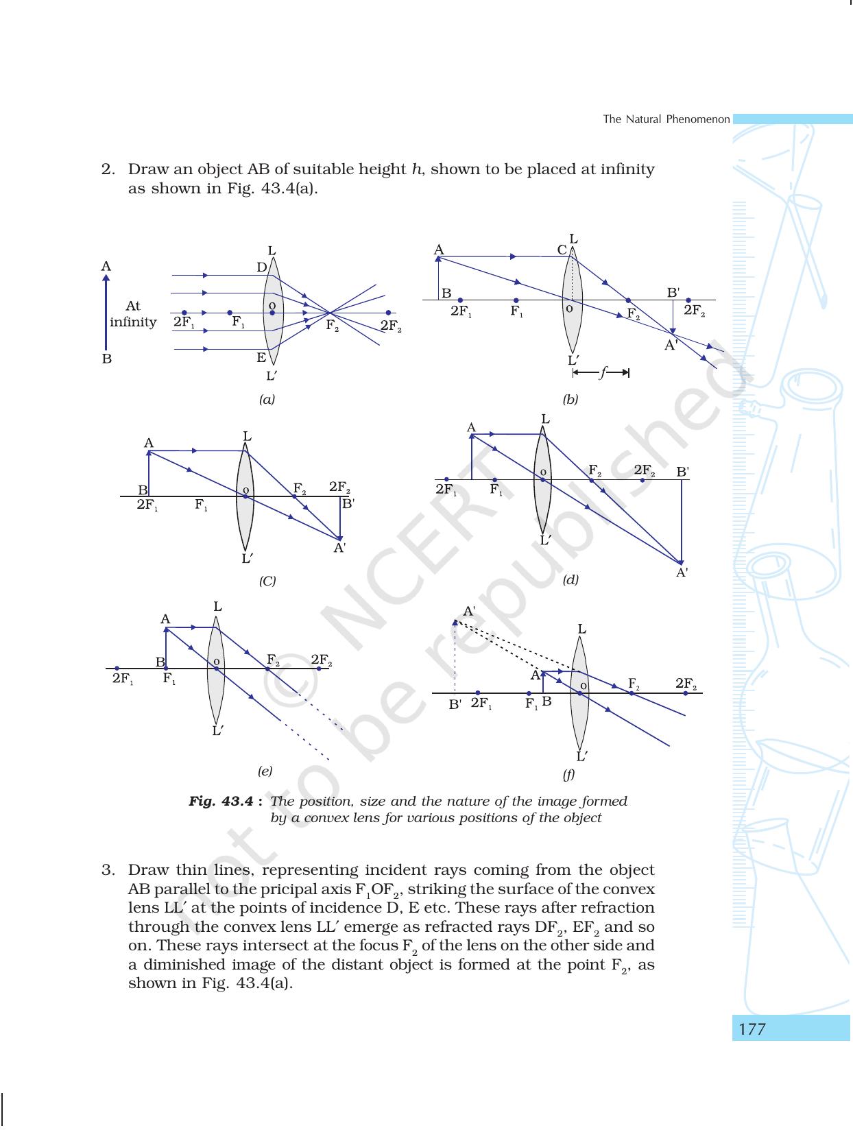 NCERT Laboratory Manuals for Class X Science - The Natural Phenomenon - Page 46