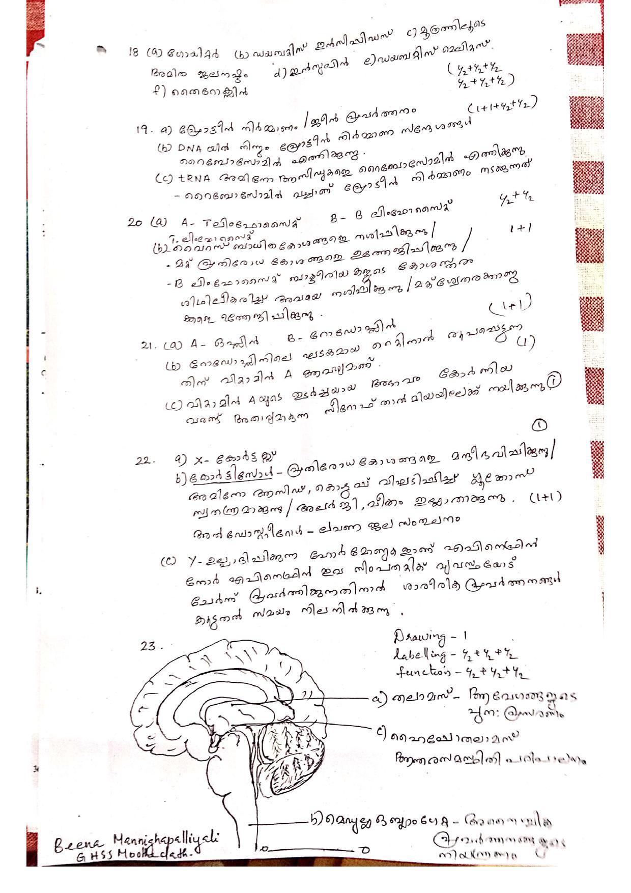 Kerala SSLC 2019  Biology Answer Key (MM) (Model) - Page 3