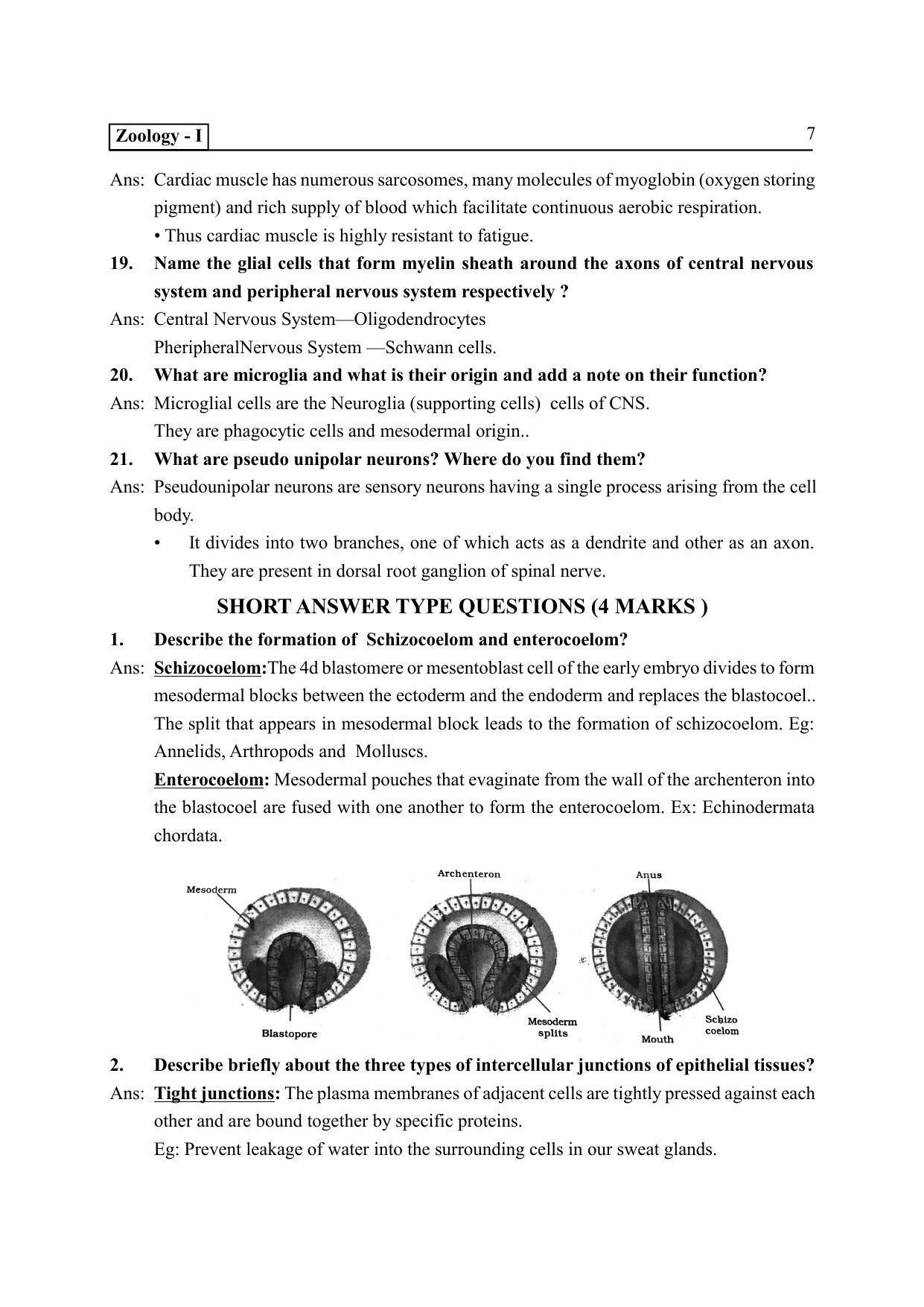 TS SCERT Inter 2nd Year Zoology I Path 1 (Telugu Medium) Text Book - Page 12