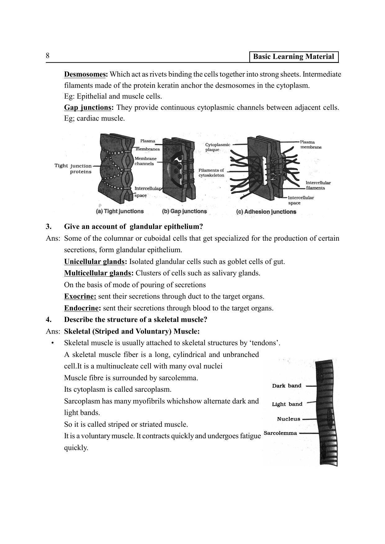 TS SCERT Inter 2nd Year Zoology I Path 1 (Telugu Medium) Text Book - Page 13