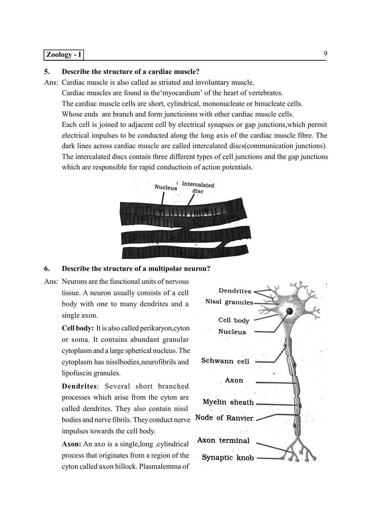 TS SCERT Inter 2nd Year Zoology I Path 1 (Telugu Medium) Text Book - Page 14