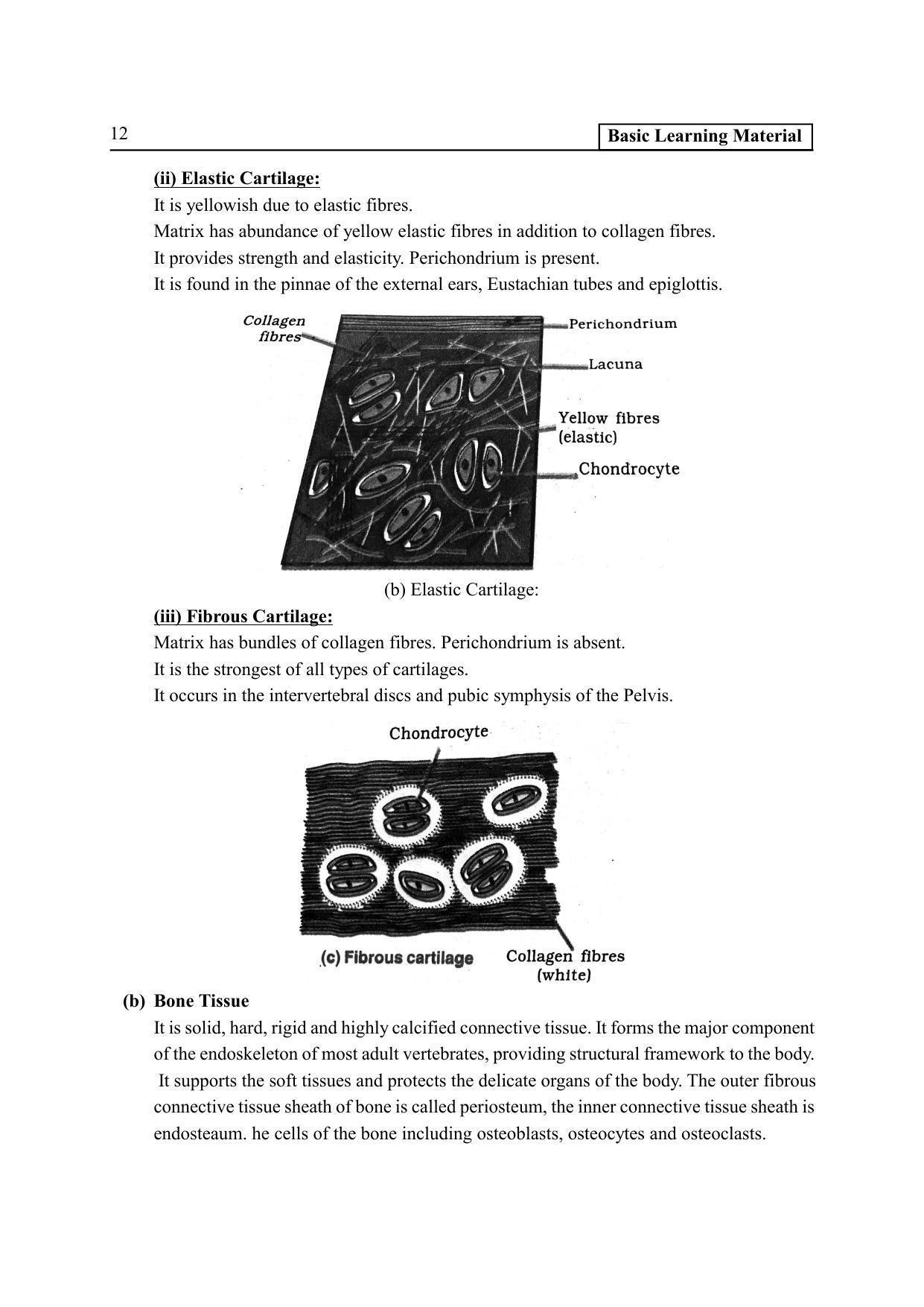 TS SCERT Inter 2nd Year Zoology I Path 1 (Telugu Medium) Text Book - Page 17