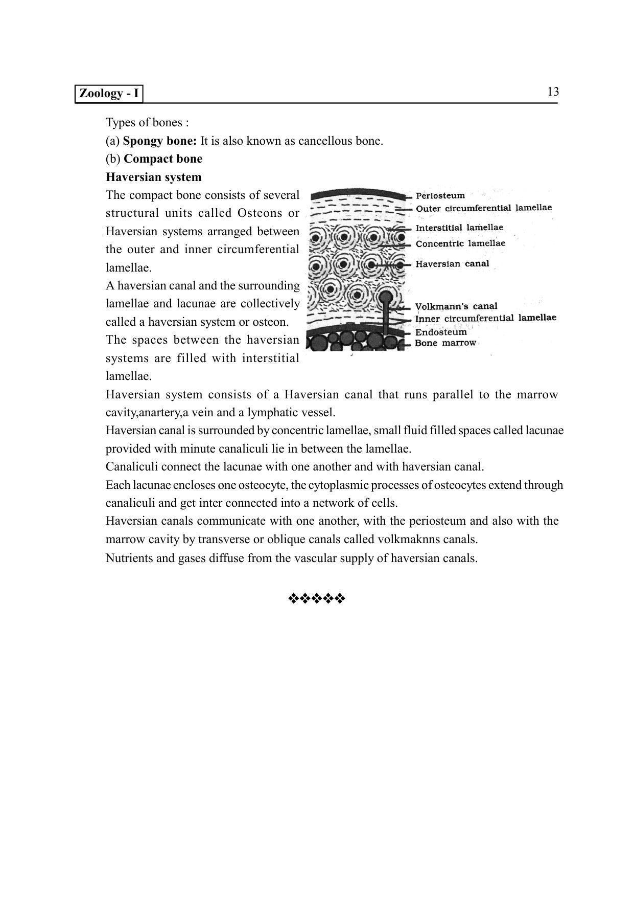 TS SCERT Inter 2nd Year Zoology I Path 1 (Telugu Medium) Text Book - Page 18