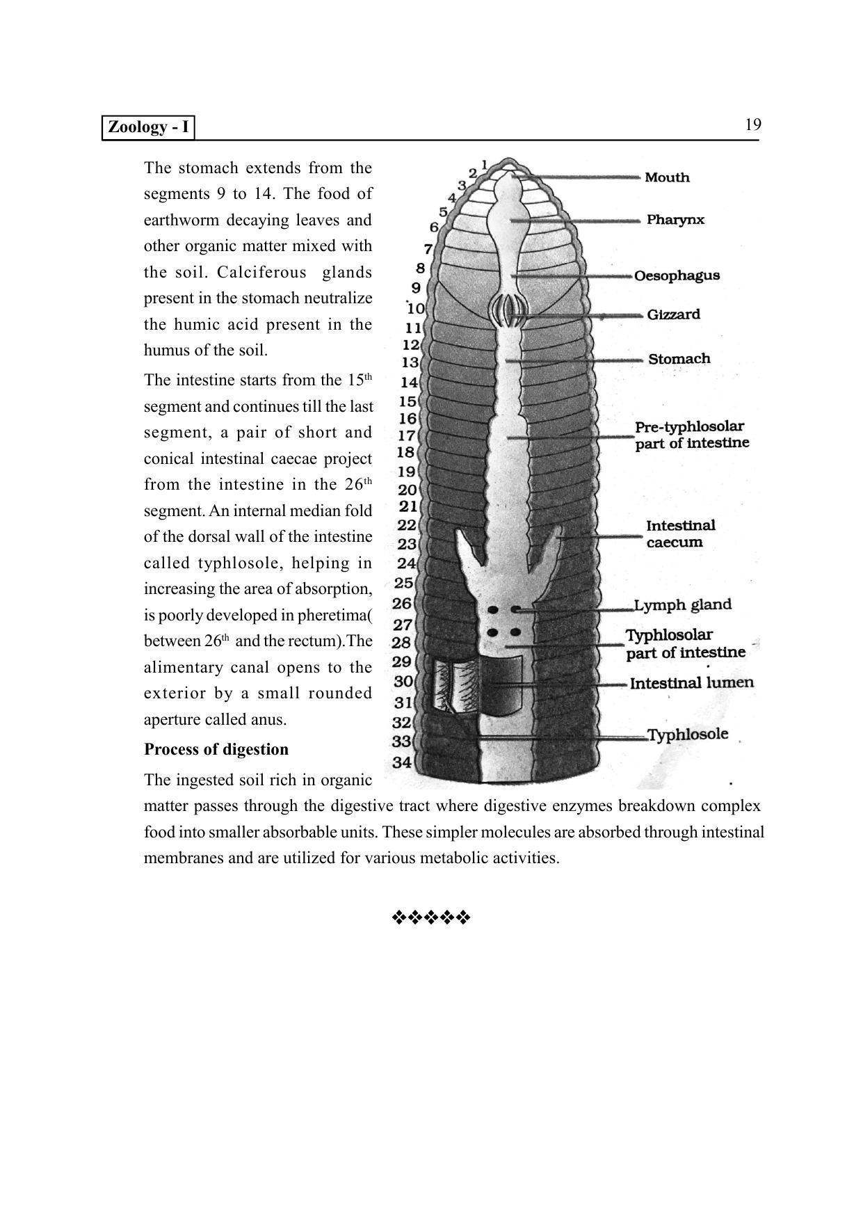 TS SCERT Inter 2nd Year Zoology I Path 1 (Telugu Medium) Text Book - Page 24