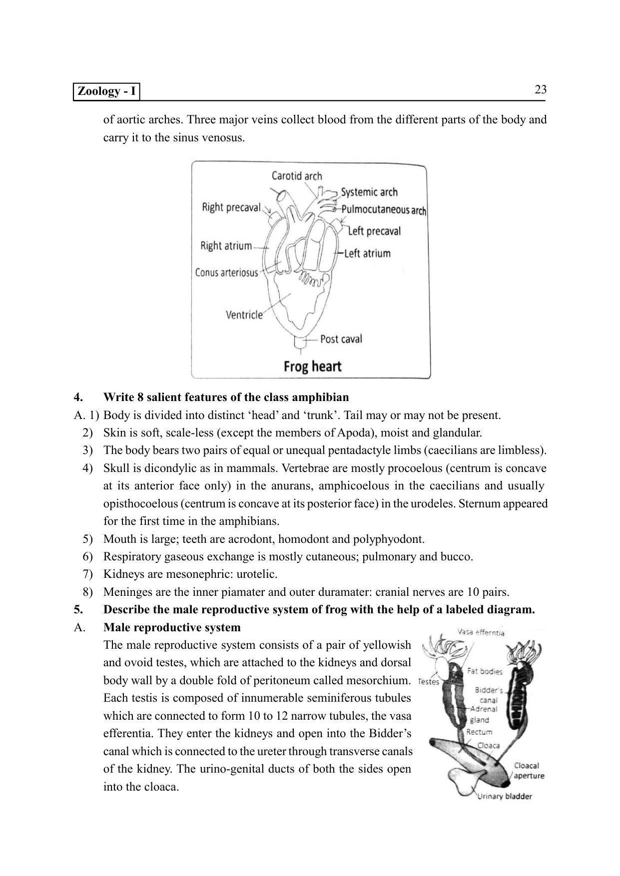 TS SCERT Inter 2nd Year Zoology I Path 1 (Telugu Medium) Text Book - Page 28