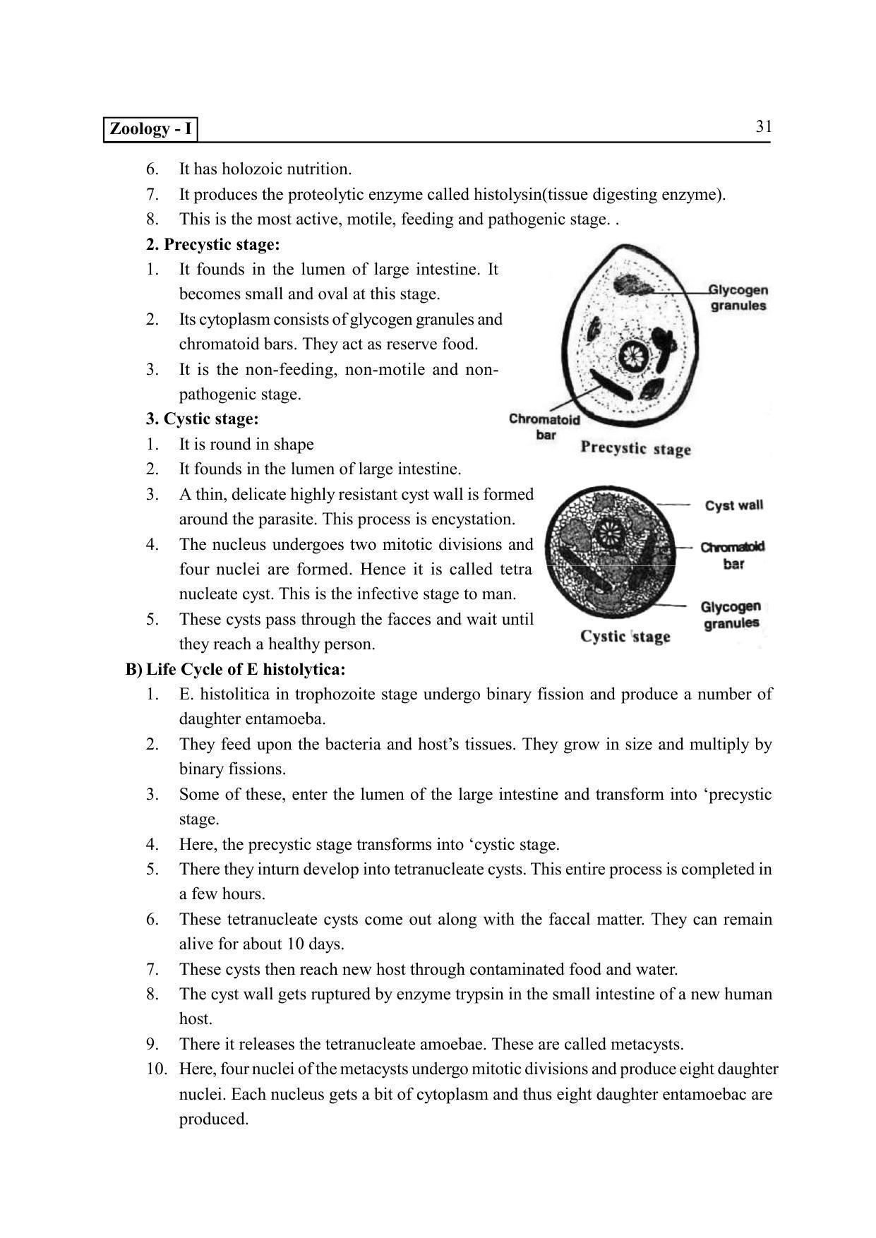 TS SCERT Inter 2nd Year Zoology I Path 1 (Telugu Medium) Text Book - Page 36