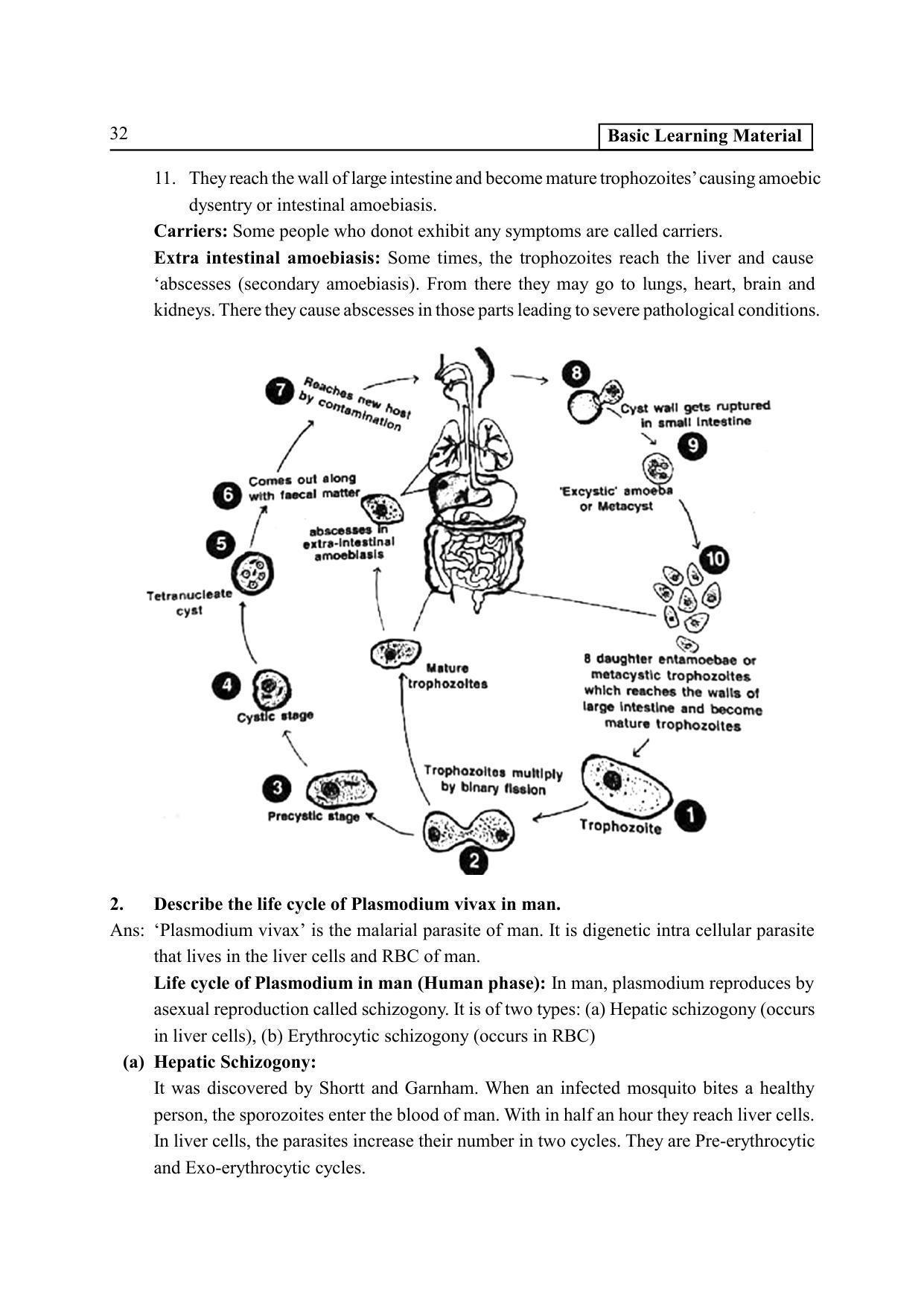 TS SCERT Inter 2nd Year Zoology I Path 1 (Telugu Medium) Text Book - Page 37