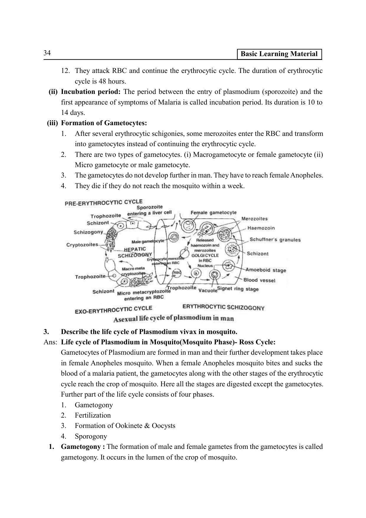 TS SCERT Inter 2nd Year Zoology I Path 1 (Telugu Medium) Text Book - Page 39