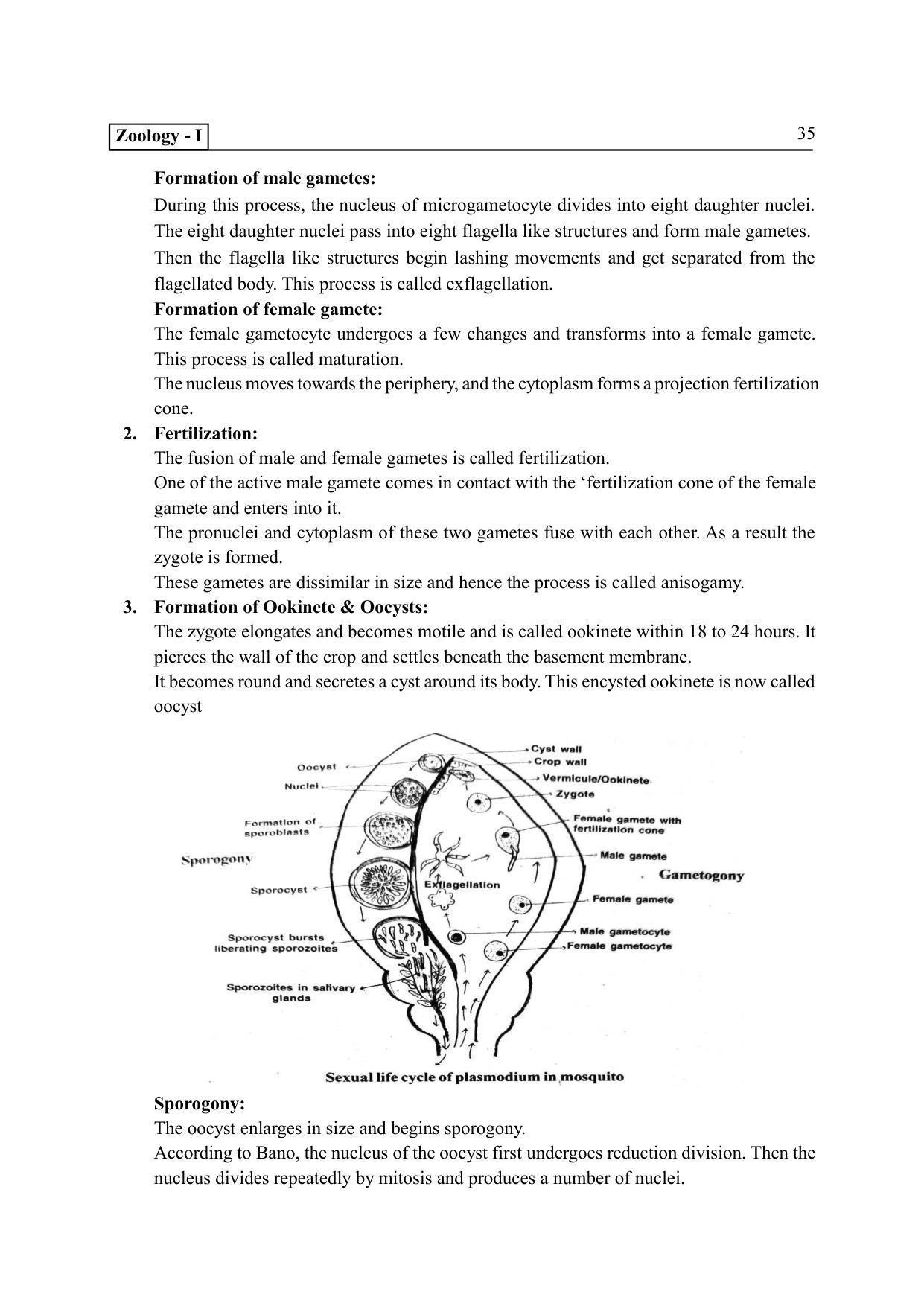 TS SCERT Inter 2nd Year Zoology I Path 1 (Telugu Medium) Text Book - Page 40
