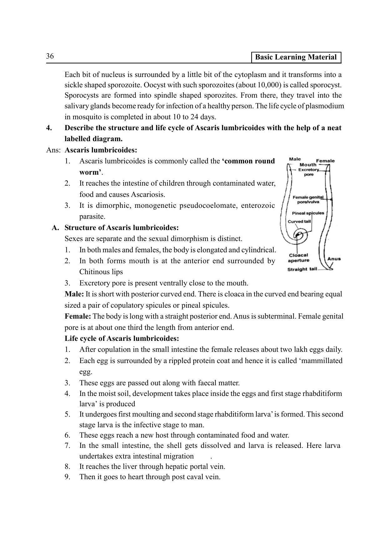TS SCERT Inter 2nd Year Zoology I Path 1 (Telugu Medium) Text Book - Page 41