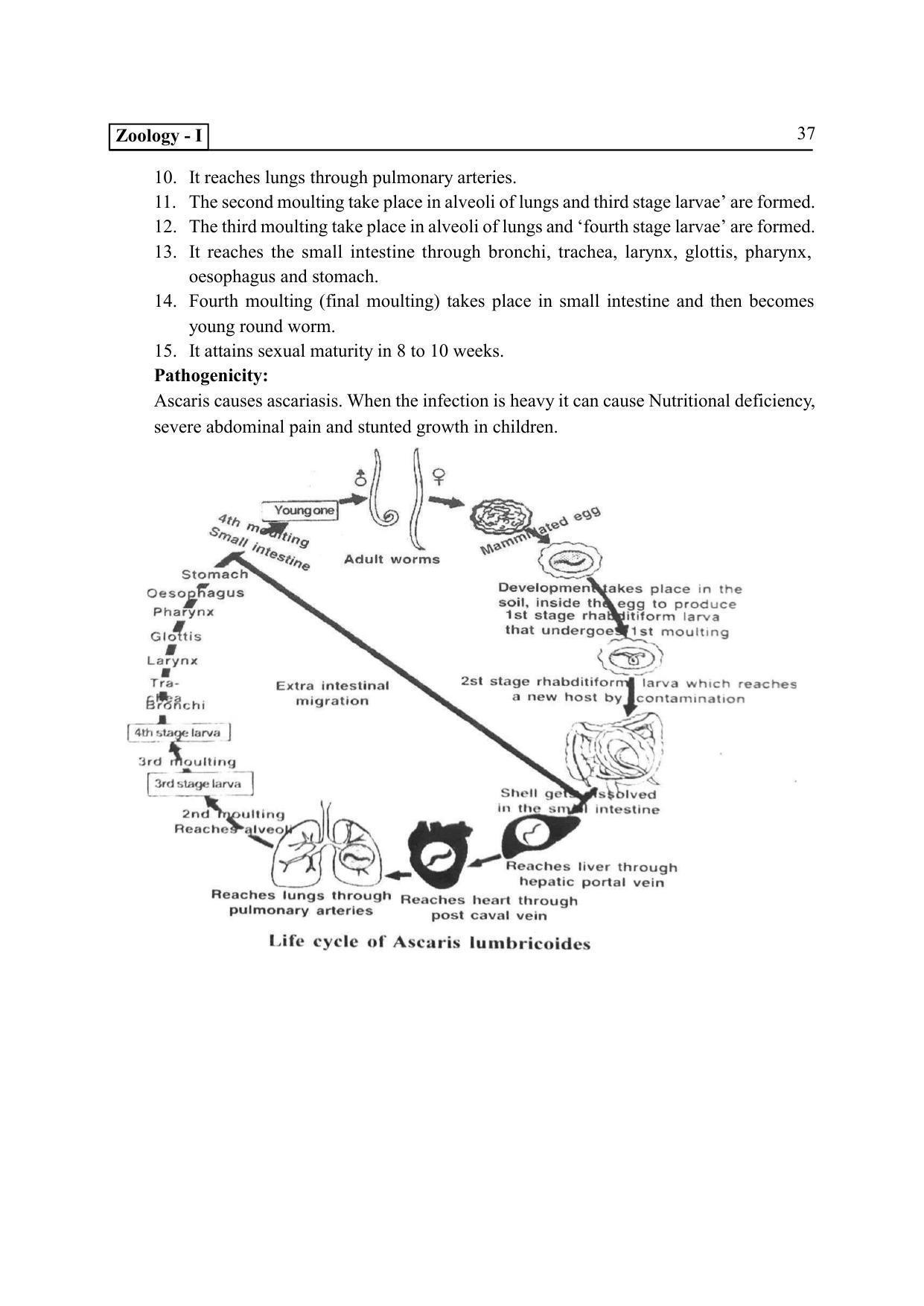 TS SCERT Inter 2nd Year Zoology I Path 1 (Telugu Medium) Text Book - Page 42