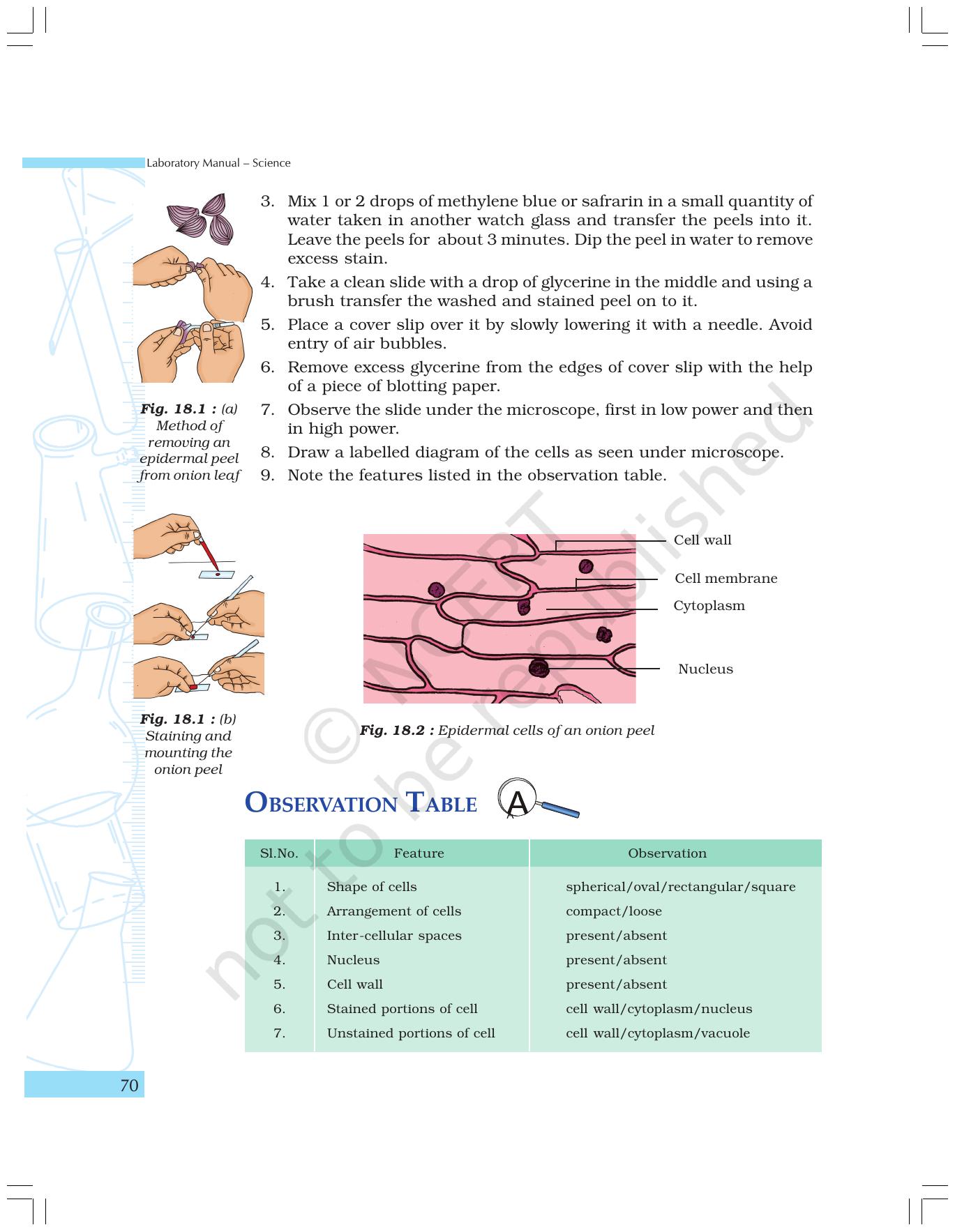 NCERT Laboratory Manuals for Class IX Science - The World of Living - Page 2