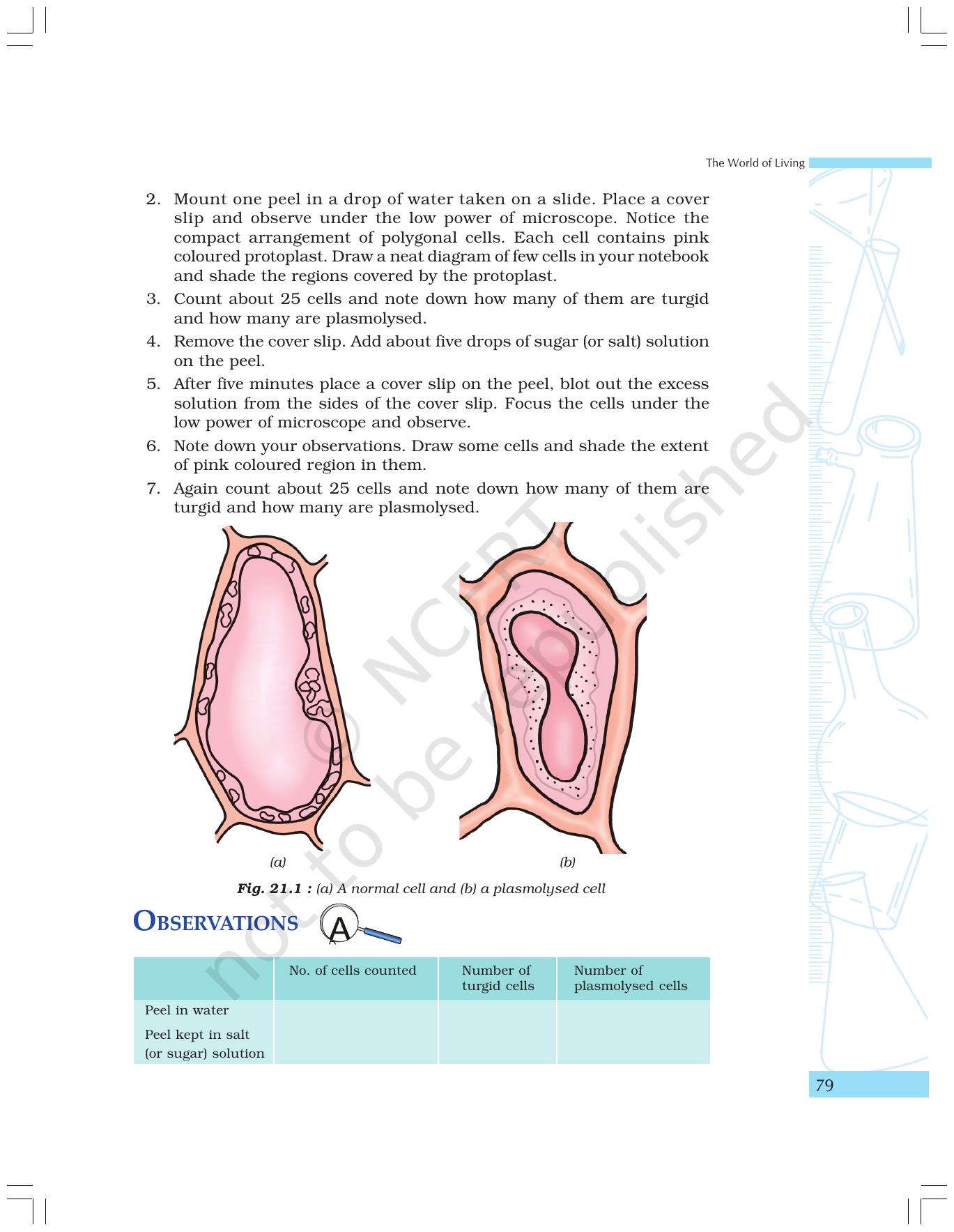 NCERT Laboratory Manuals for Class IX Science - The World of Living - Page 11