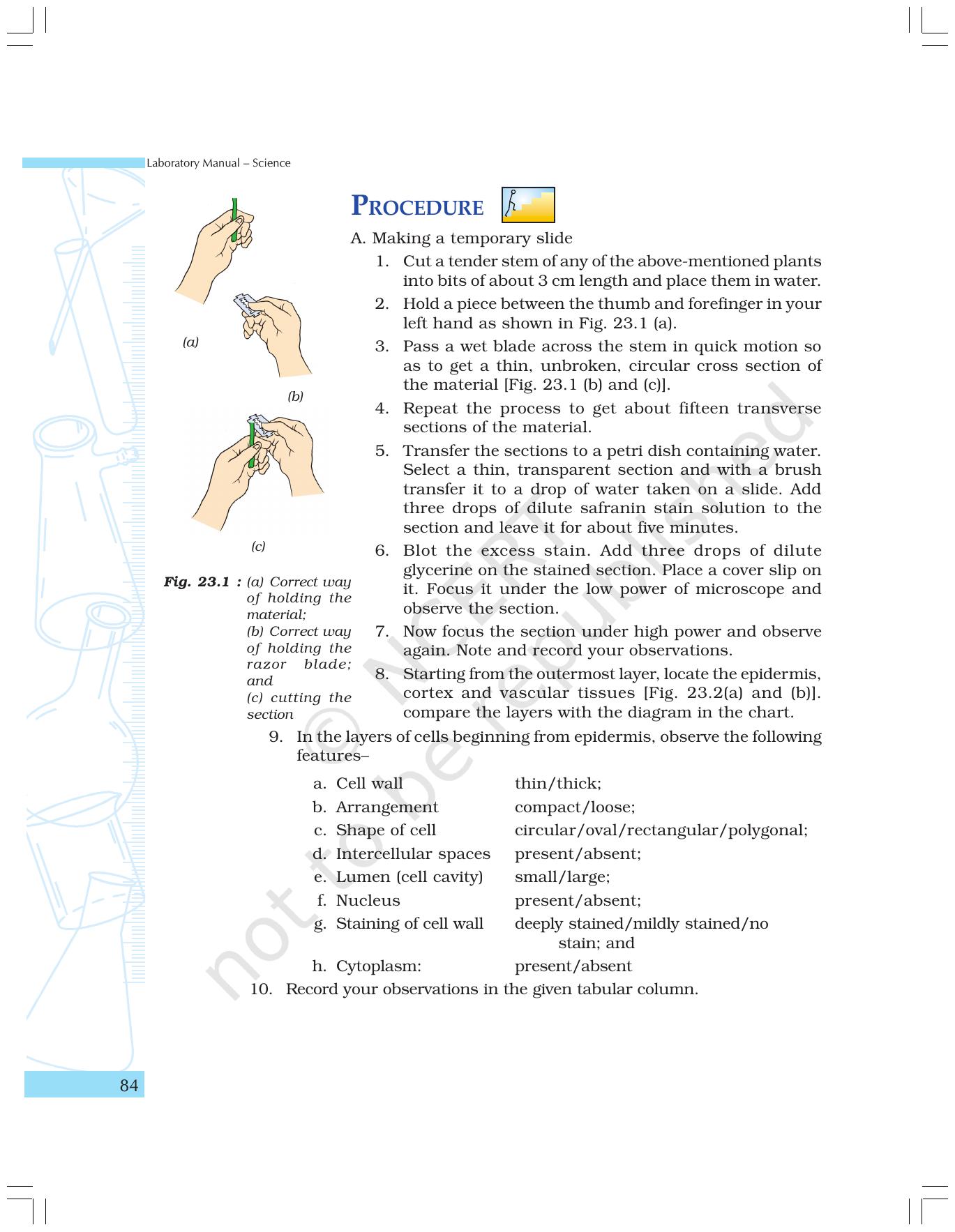 NCERT Laboratory Manuals for Class IX Science - The World of Living - Page 16