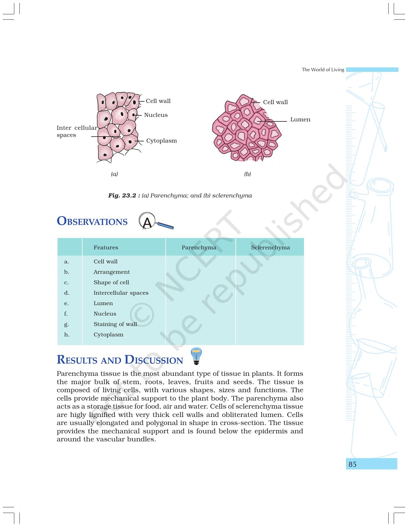 NCERT Laboratory Manuals for Class IX Science - The World of Living - Page 17