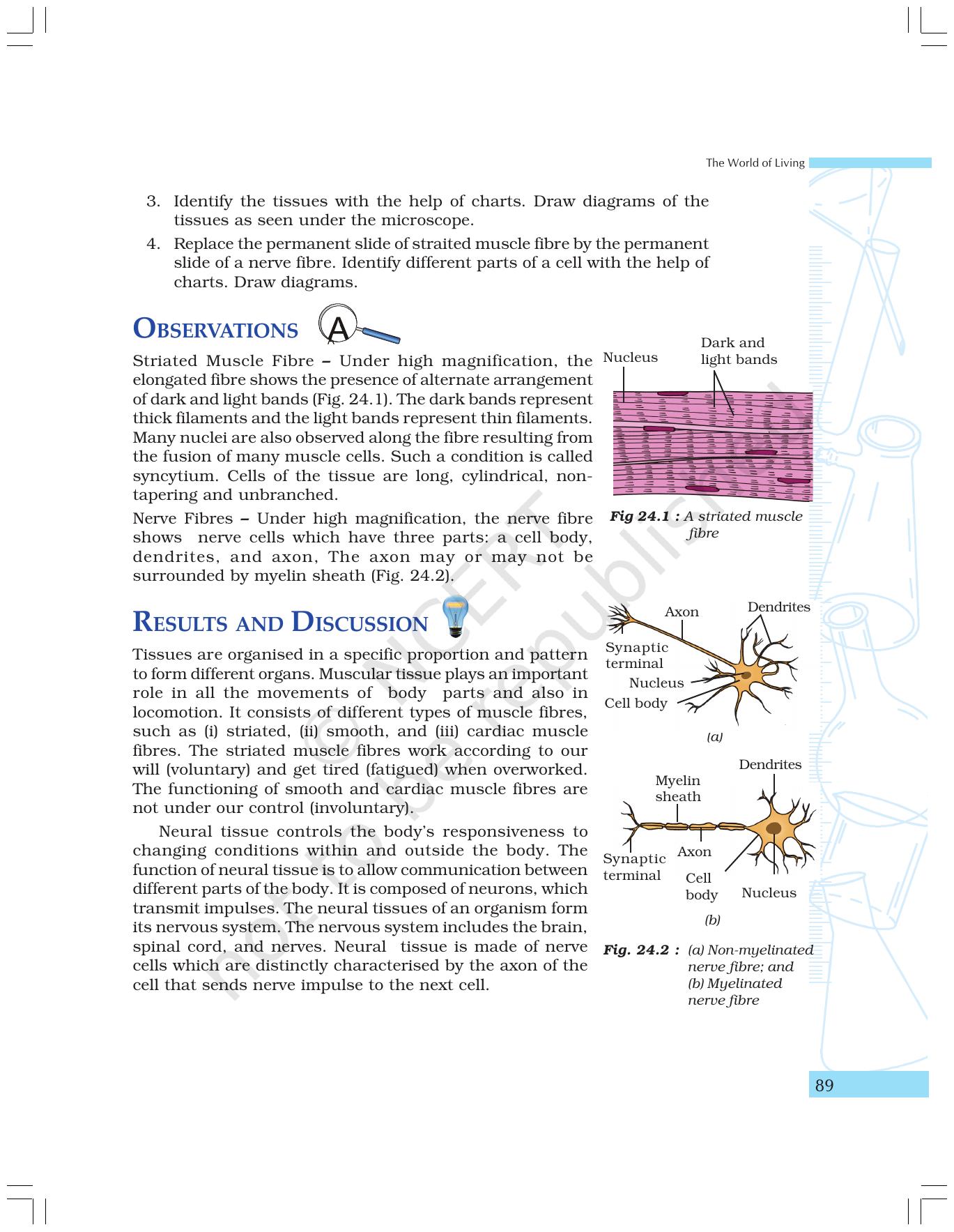 NCERT Laboratory Manuals for Class IX Science - The World of Living - Page 21