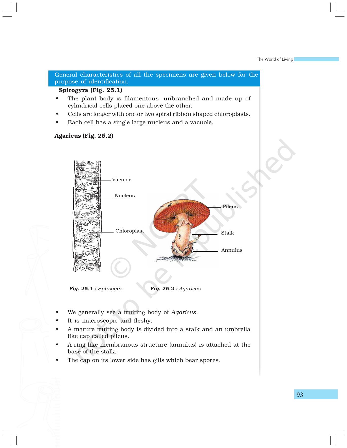 NCERT Laboratory Manuals for Class IX Science - The World of Living - Page 25