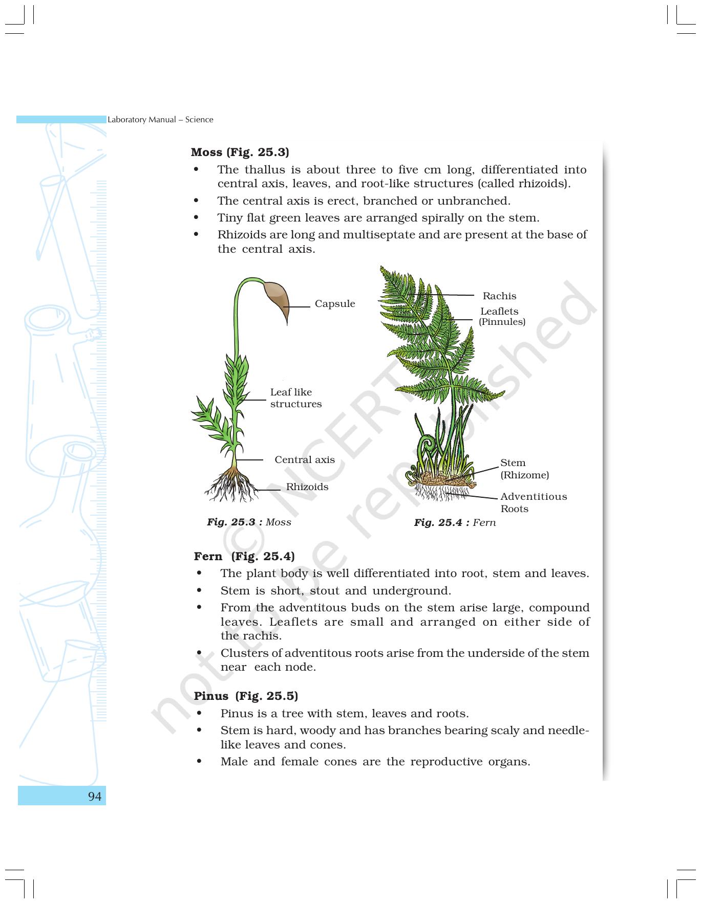 NCERT Laboratory Manuals for Class IX Science - The World of Living - Page 26