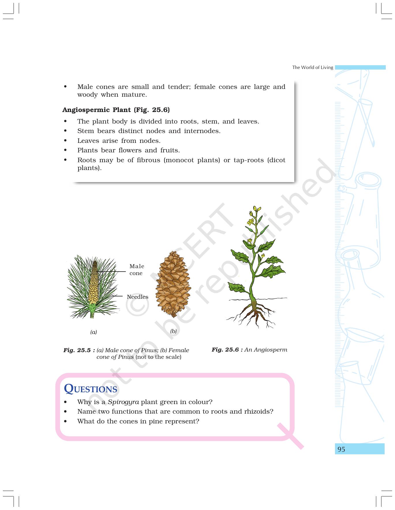 NCERT Laboratory Manuals for Class IX Science - The World of Living - Page 27