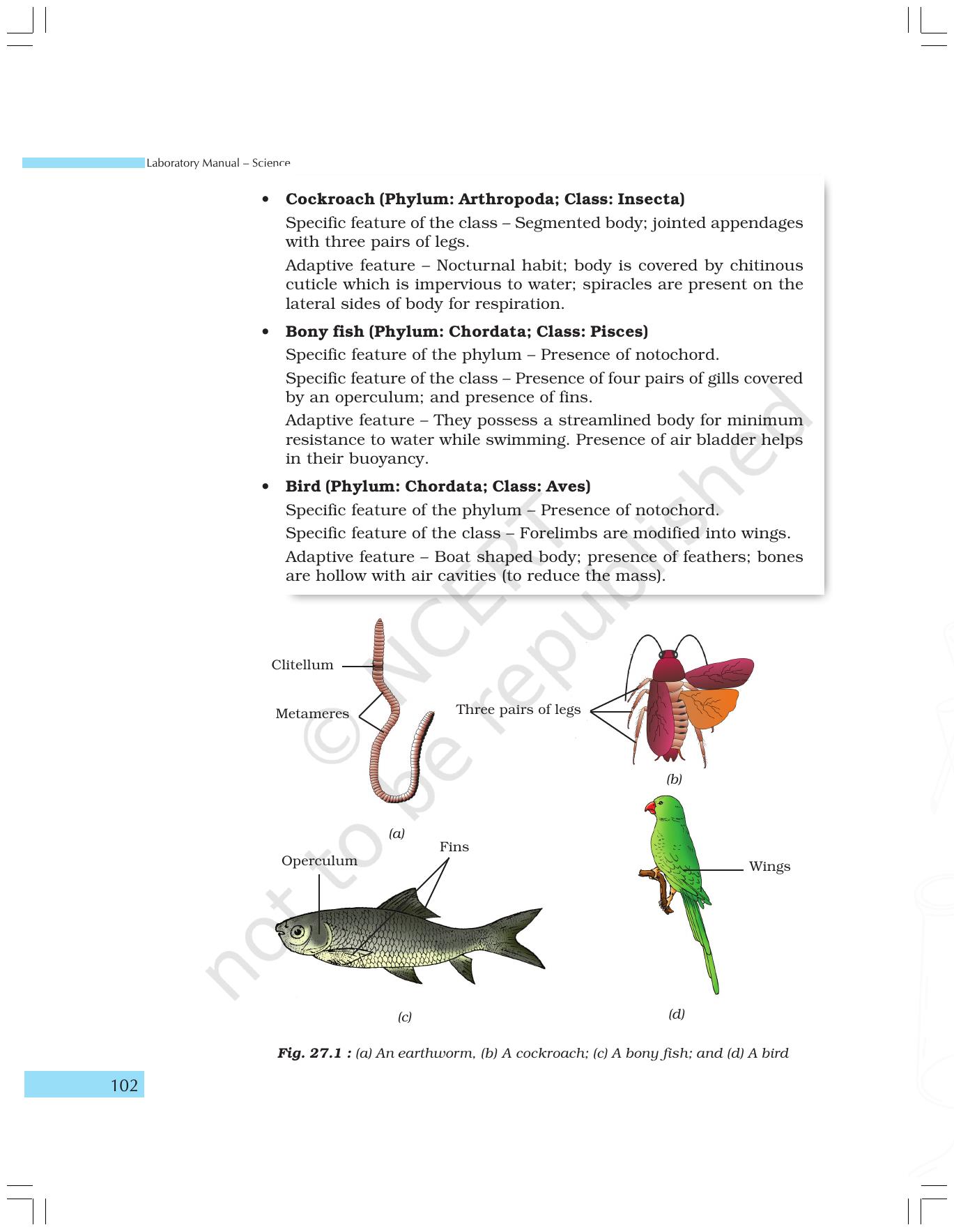 NCERT Laboratory Manuals for Class IX Science - The World of Living - Page 34