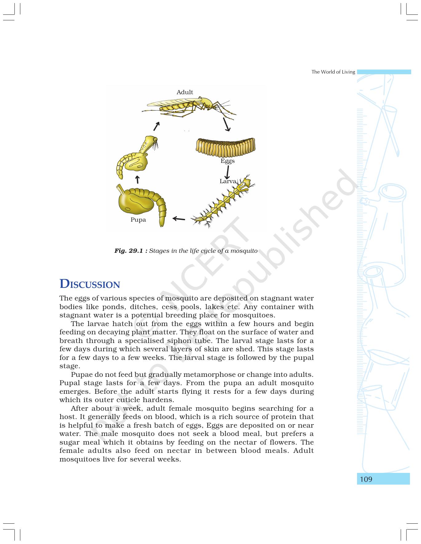 NCERT Laboratory Manuals for Class IX Science - The World of Living - Page 41