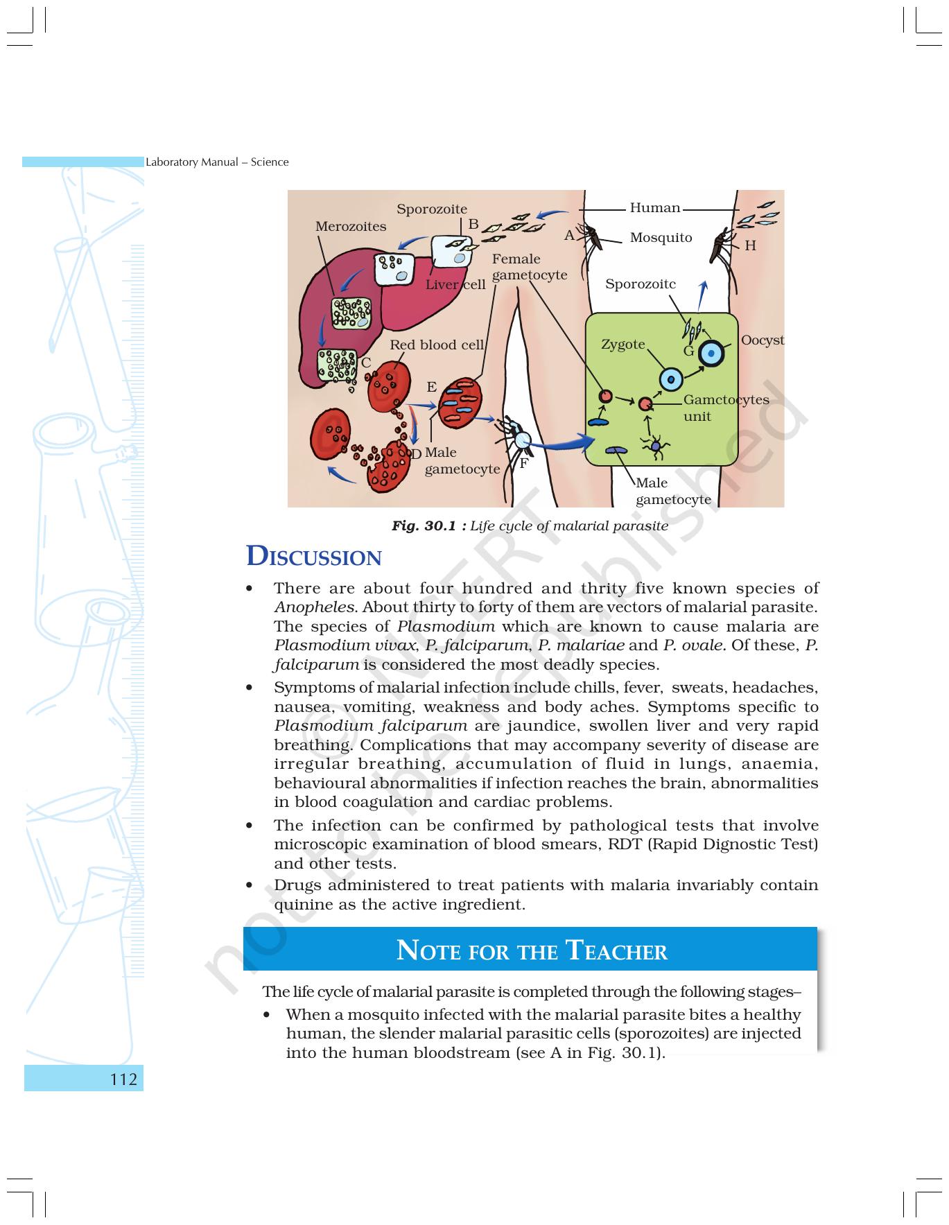 NCERT Laboratory Manuals for Class IX Science - The World of Living - Page 44