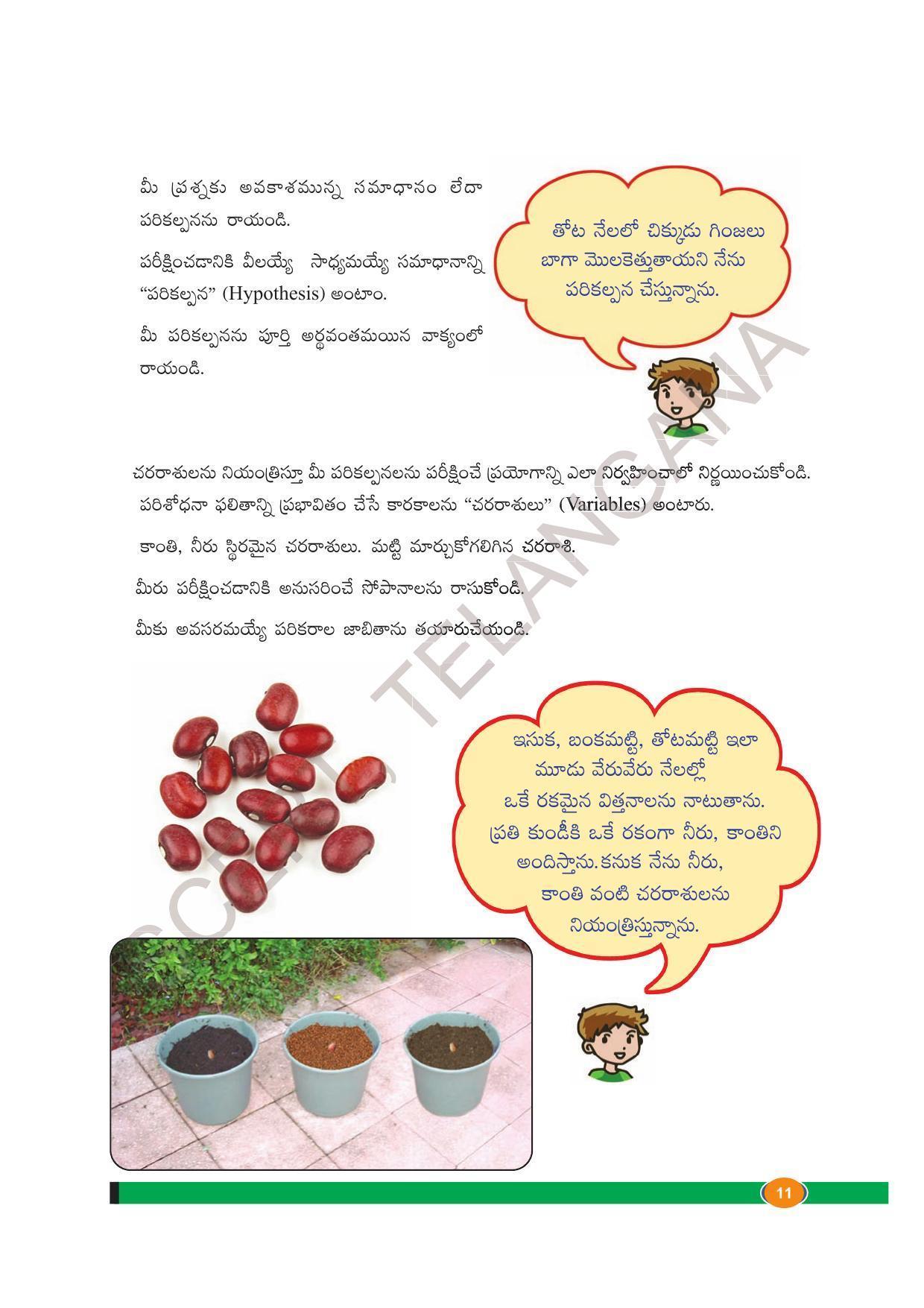 TS SCERT Class 8 Biological Science Path 1 (Telugu Medium) Text Book - Page 31