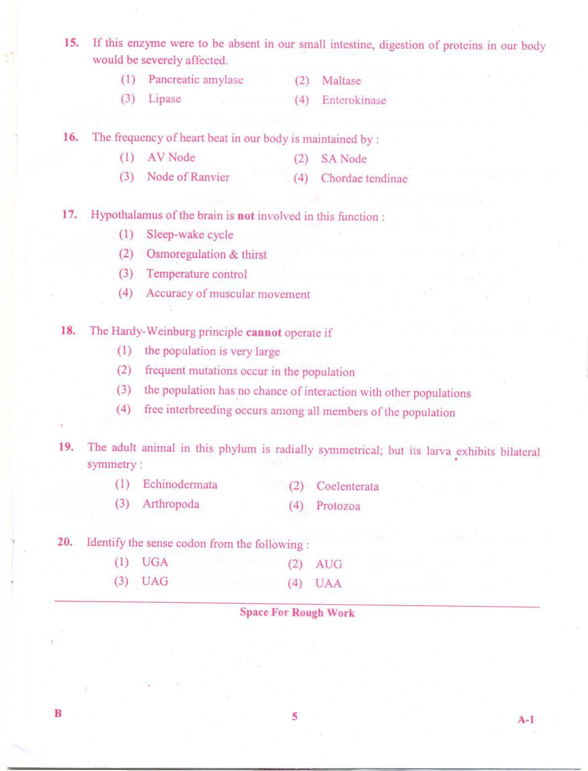 KCET Biology 2012 Question Papers - Page 5