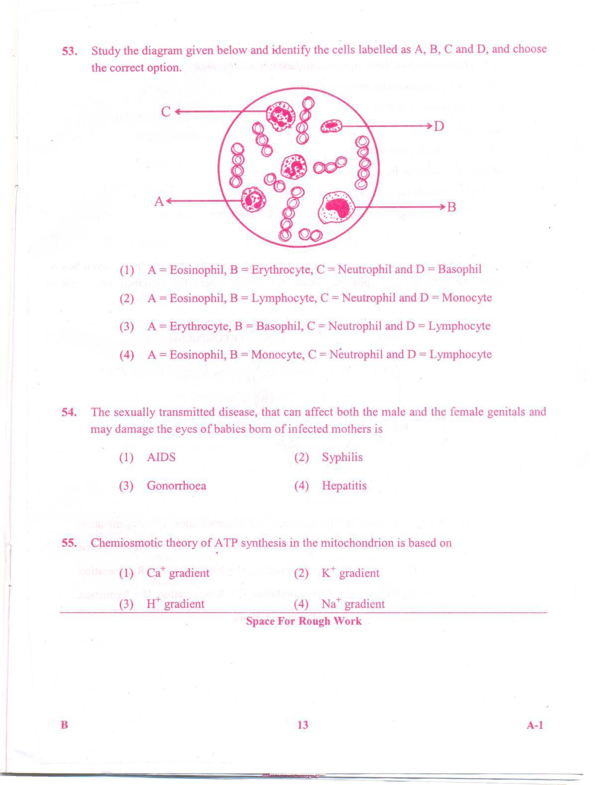 KCET Biology 2012 Question Papers - Page 13