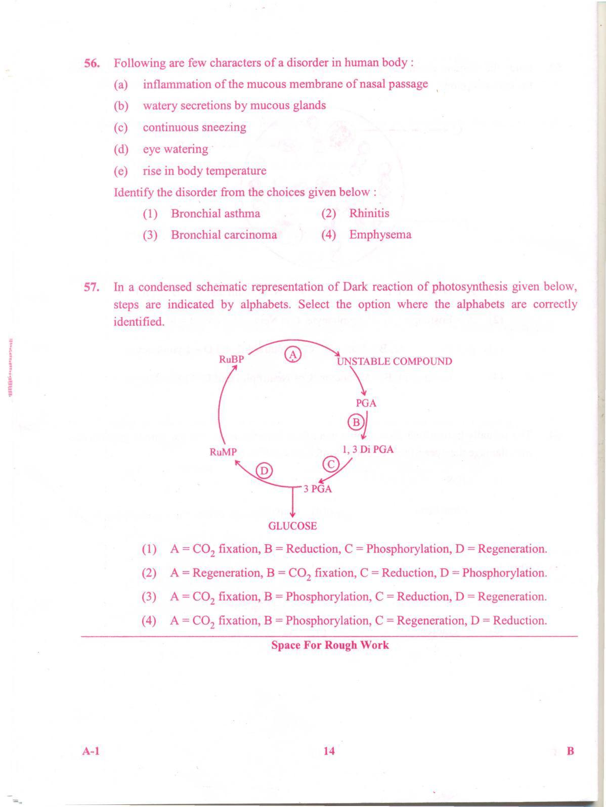 KCET Biology 2012 Question Papers - Page 14