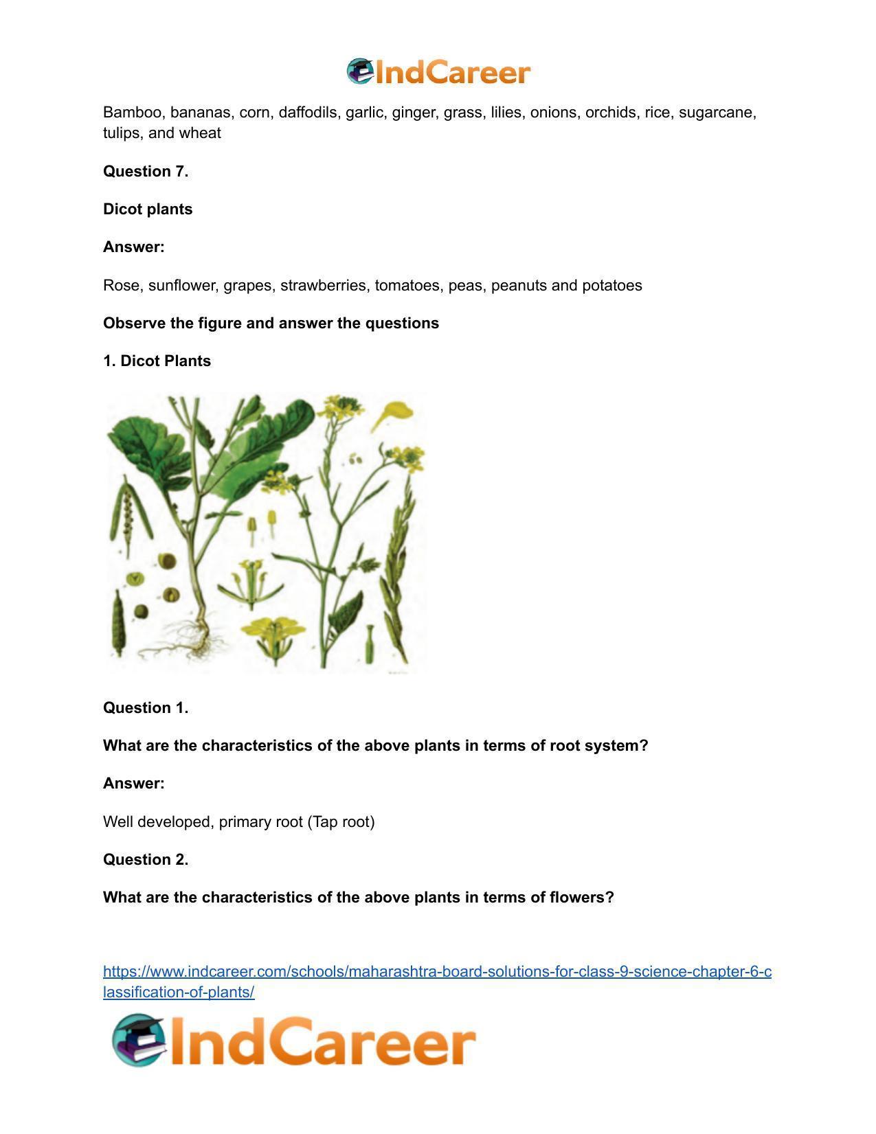 Maharashtra Board Solutions for Class 9- Science: Chapter 6- Classification of Plants - Page 31