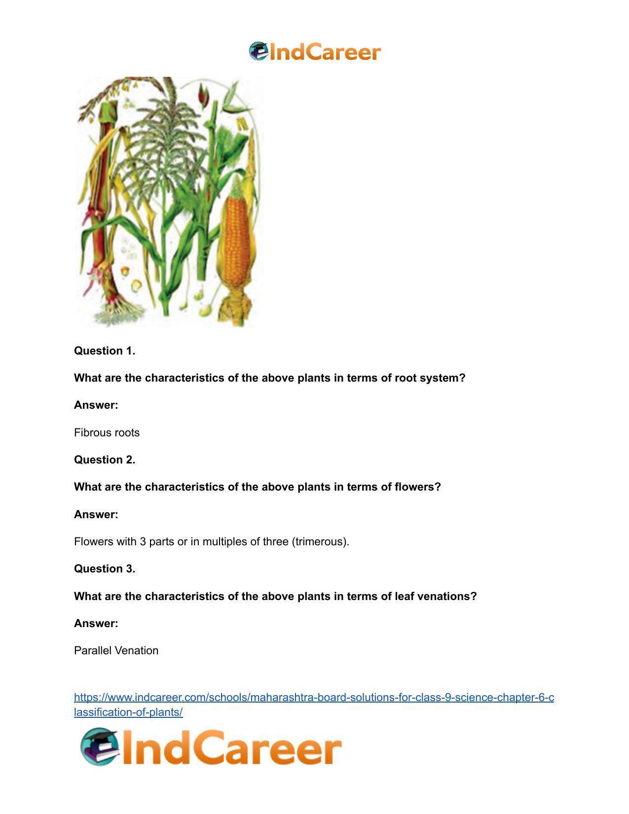 Maharashtra Board Solutions for Class 9- Science: Chapter 6- Classification of Plants - Page 33
