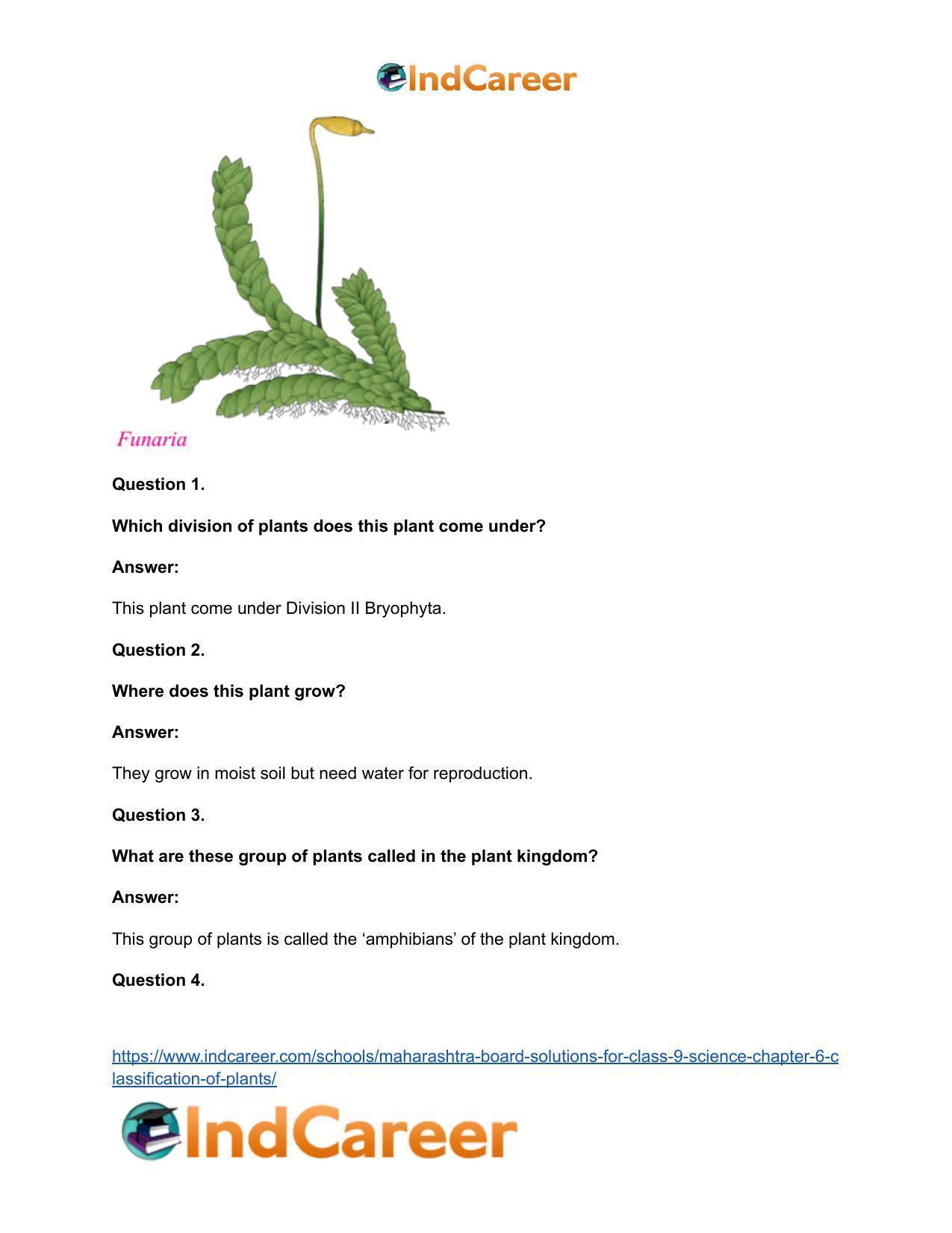 Maharashtra Board Solutions for Class 9- Science: Chapter 6- Classification of Plants - Page 36