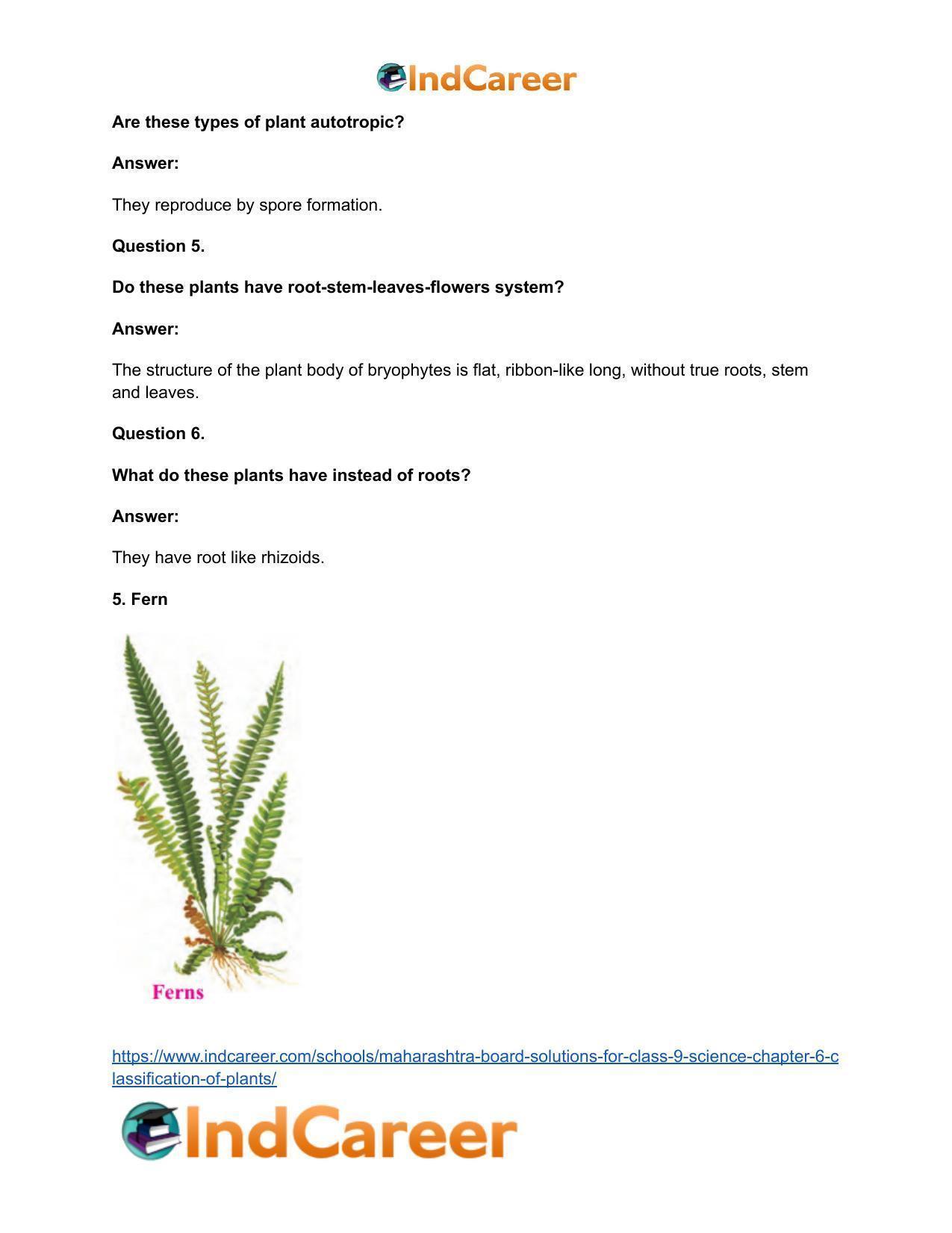 Maharashtra Board Solutions for Class 9- Science: Chapter 6- Classification of Plants - Page 37