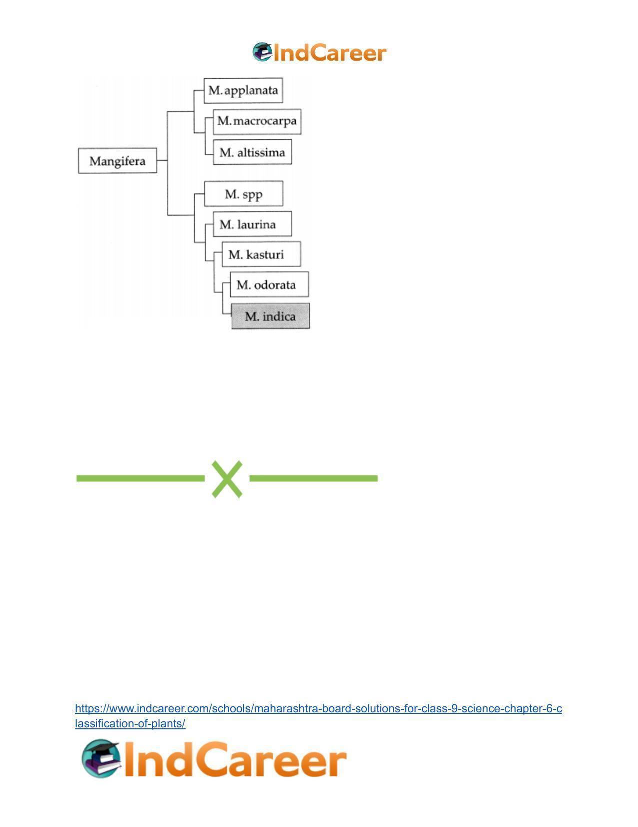 Maharashtra Board Solutions for Class 9- Science: Chapter 6- Classification of Plants - Page 48