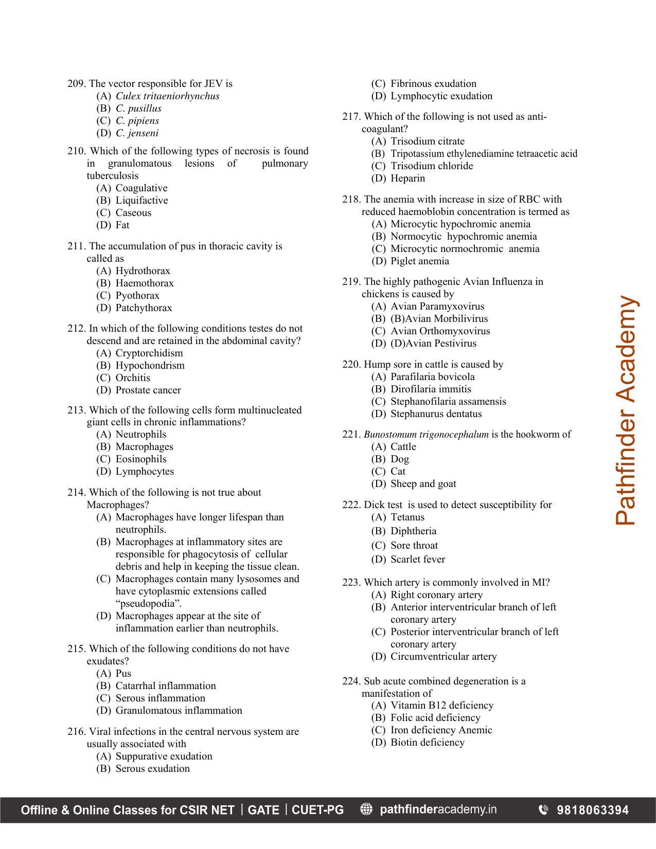BET 2011 Question Paper - Page 18