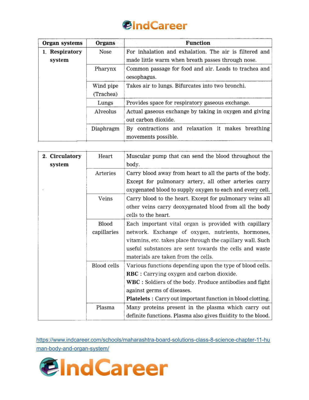 Maharashtra Board Solutions Class 8-Science: Chapter 11- Human Body and Organ System - Page 4