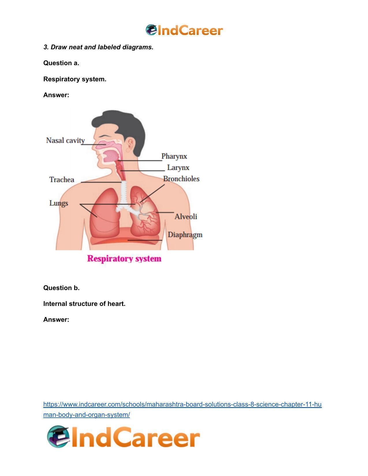 Maharashtra Board Solutions Class 8-Science: Chapter 11- Human Body and Organ System - Page 5