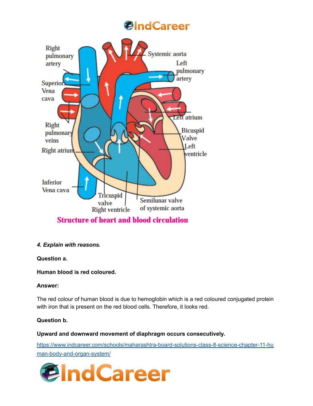 Maharashtra Board Solutions Class 8-Science: Chapter 11- Human Body and Organ System - Page 6