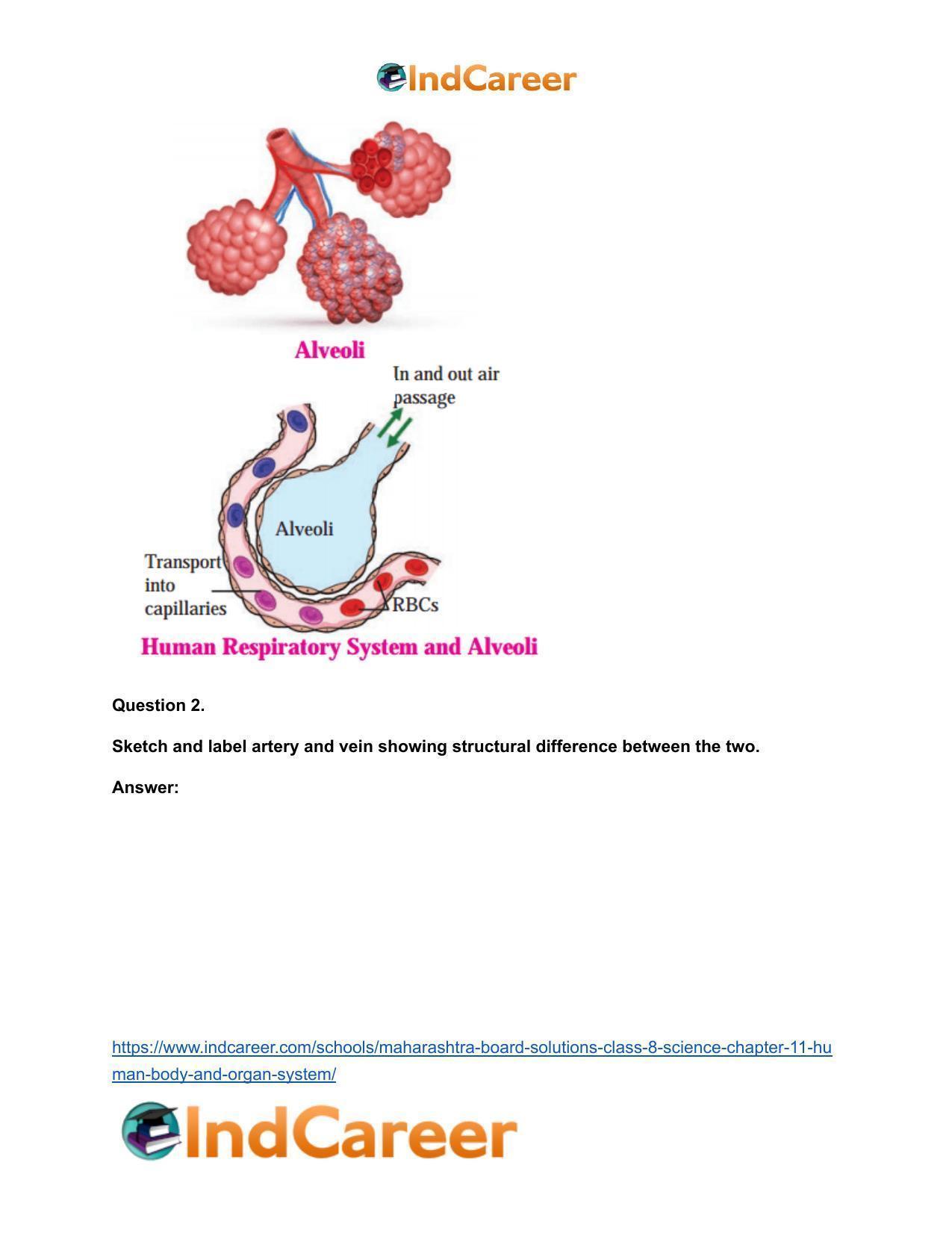 Maharashtra Board Solutions Class 8-Science: Chapter 11- Human Body and Organ System - Page 26