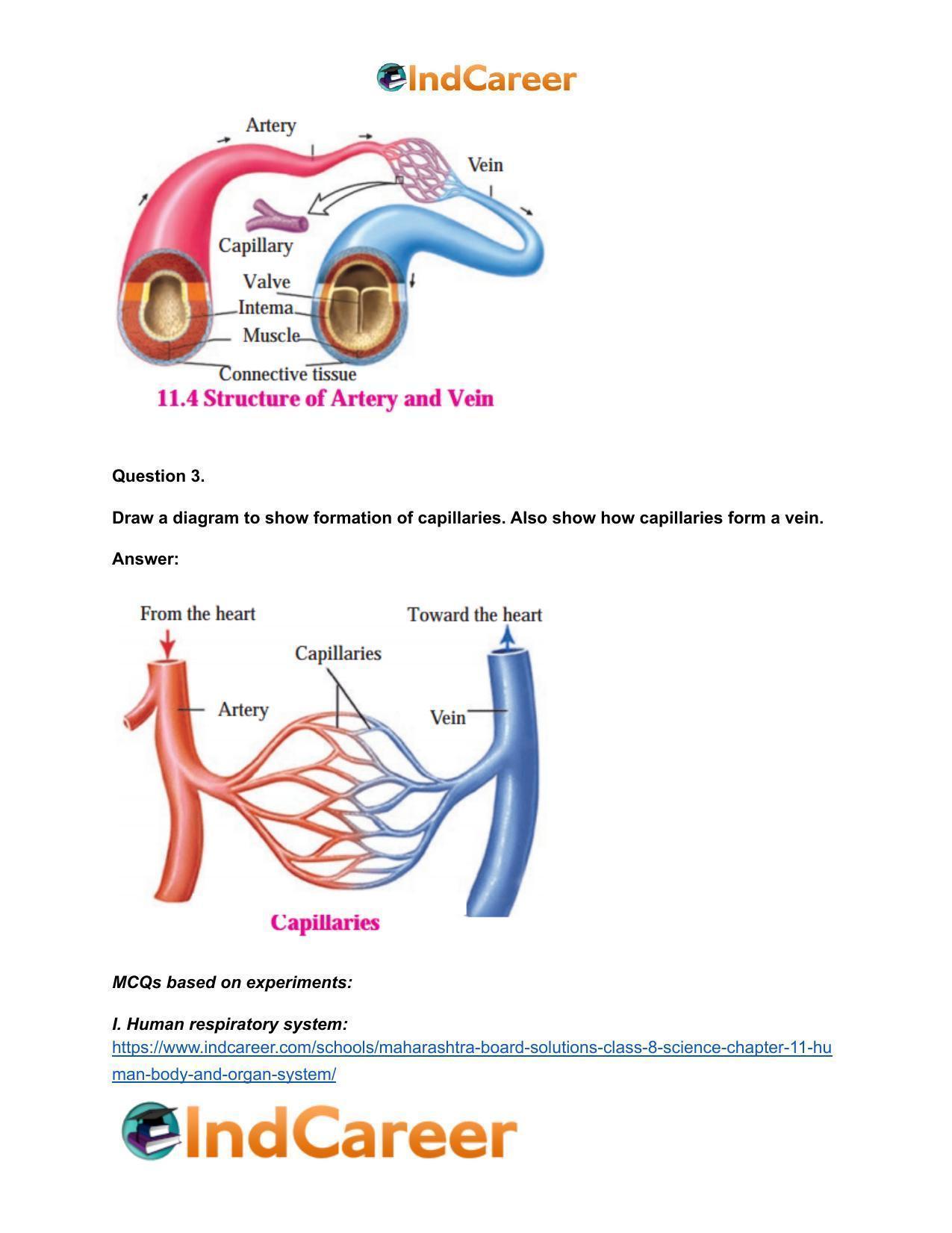 Maharashtra Board Solutions Class 8-Science: Chapter 11- Human Body and Organ System - Page 27