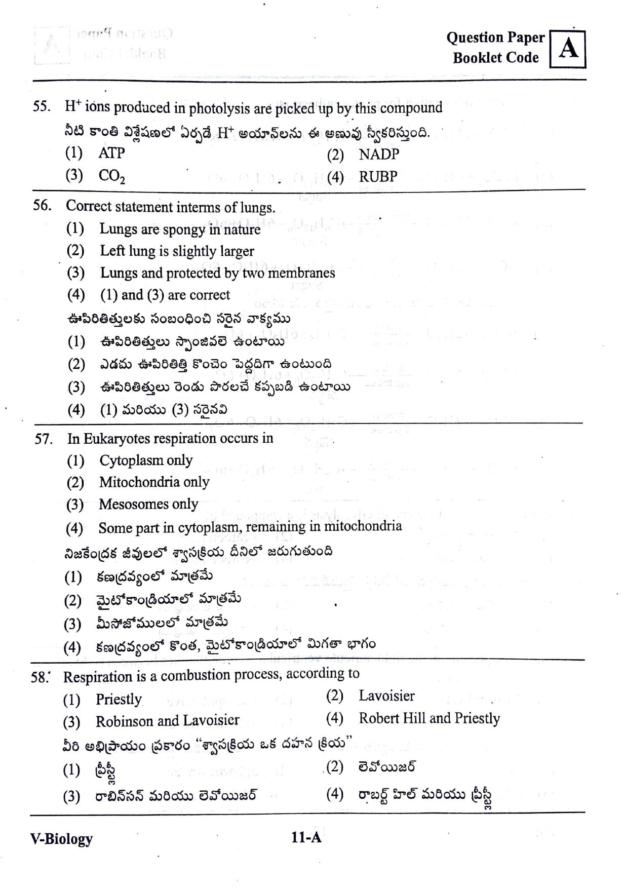 BiPC/ CGDT English / Telugu Medium 2019  - Page 10