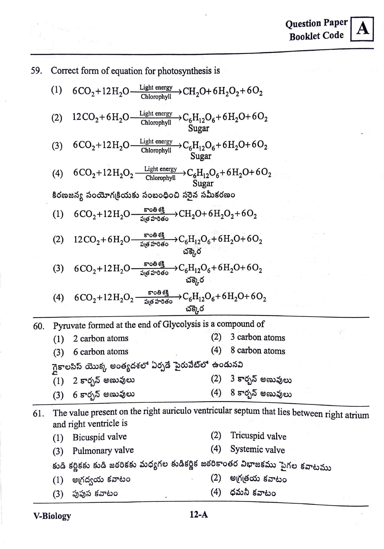BiPC/ CGDT English / Telugu Medium 2019  - Page 11