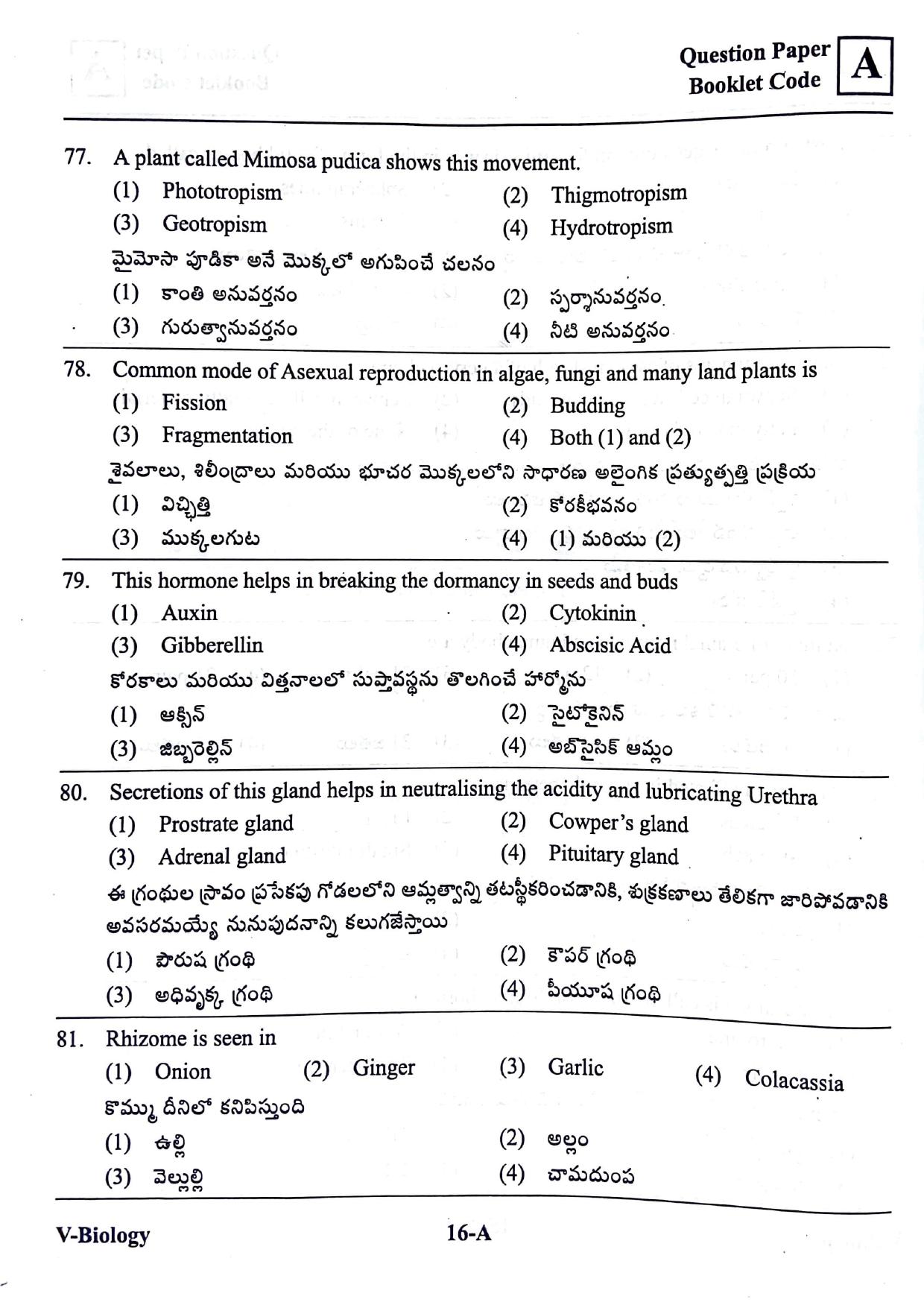 BiPC/ CGDT English / Telugu Medium 2019  - Page 15