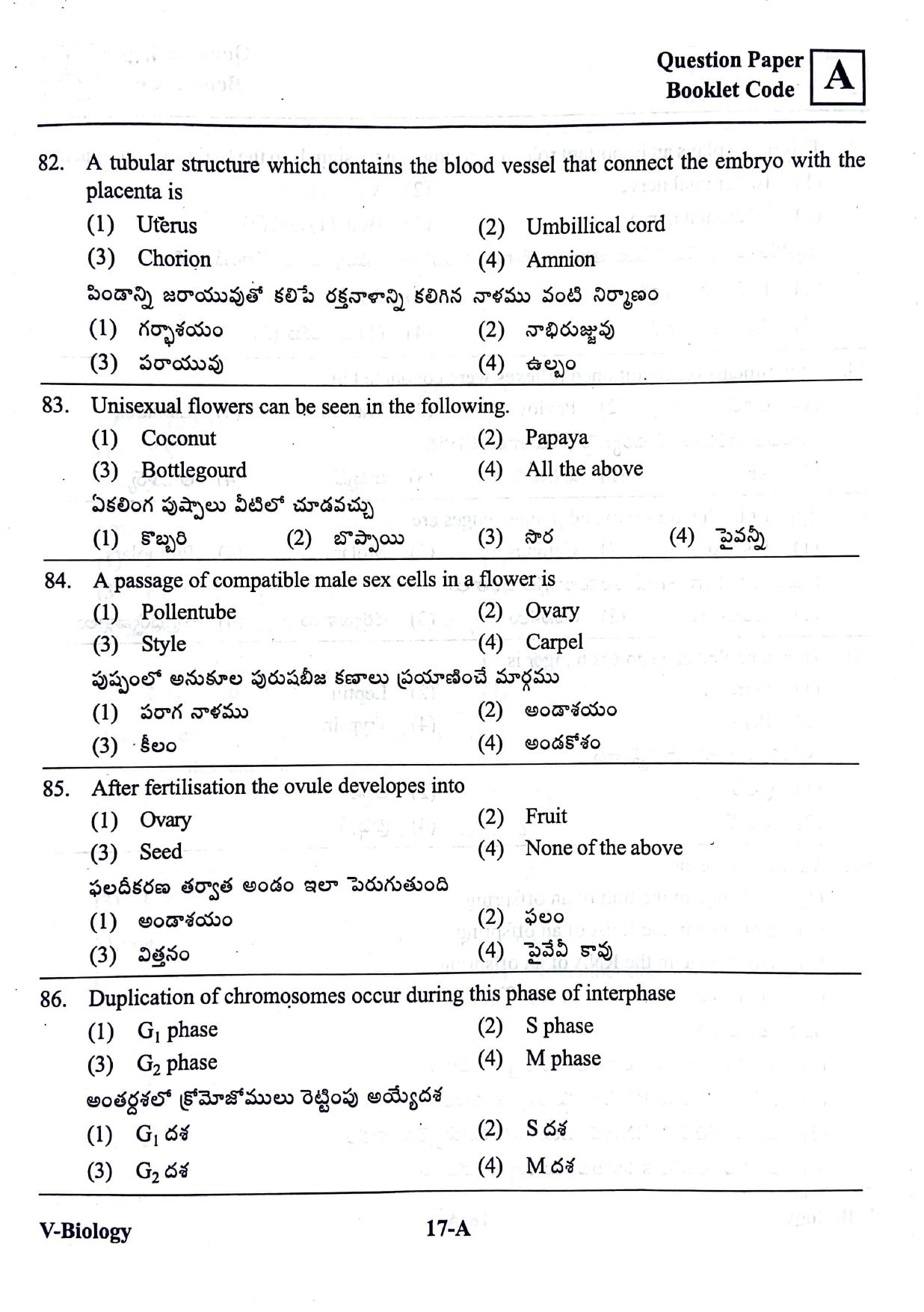 BiPC/ CGDT English / Telugu Medium 2019  - Page 16