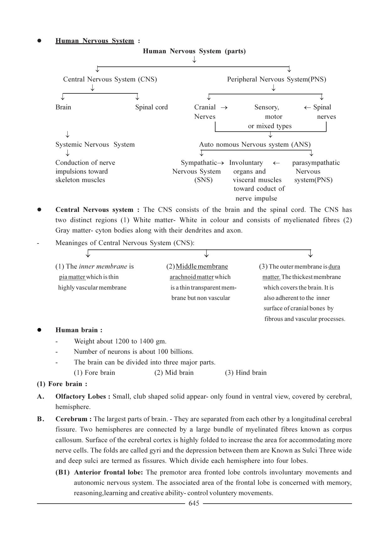 GSEB HSC Biology Question Paper (English Medium)- Chapter 31 - Page 6