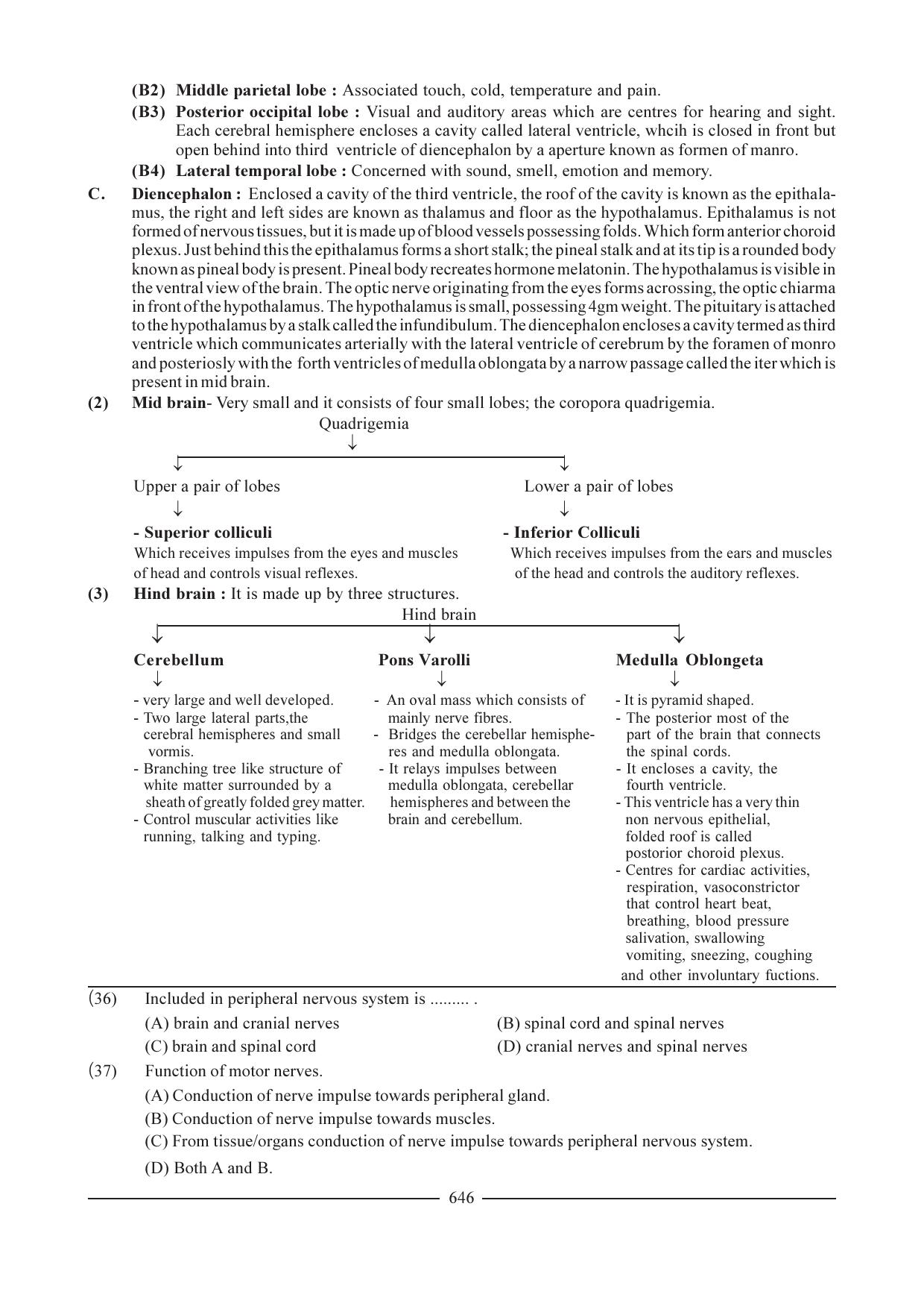GSEB HSC Biology Question Paper (English Medium)- Chapter 31 - Page 7