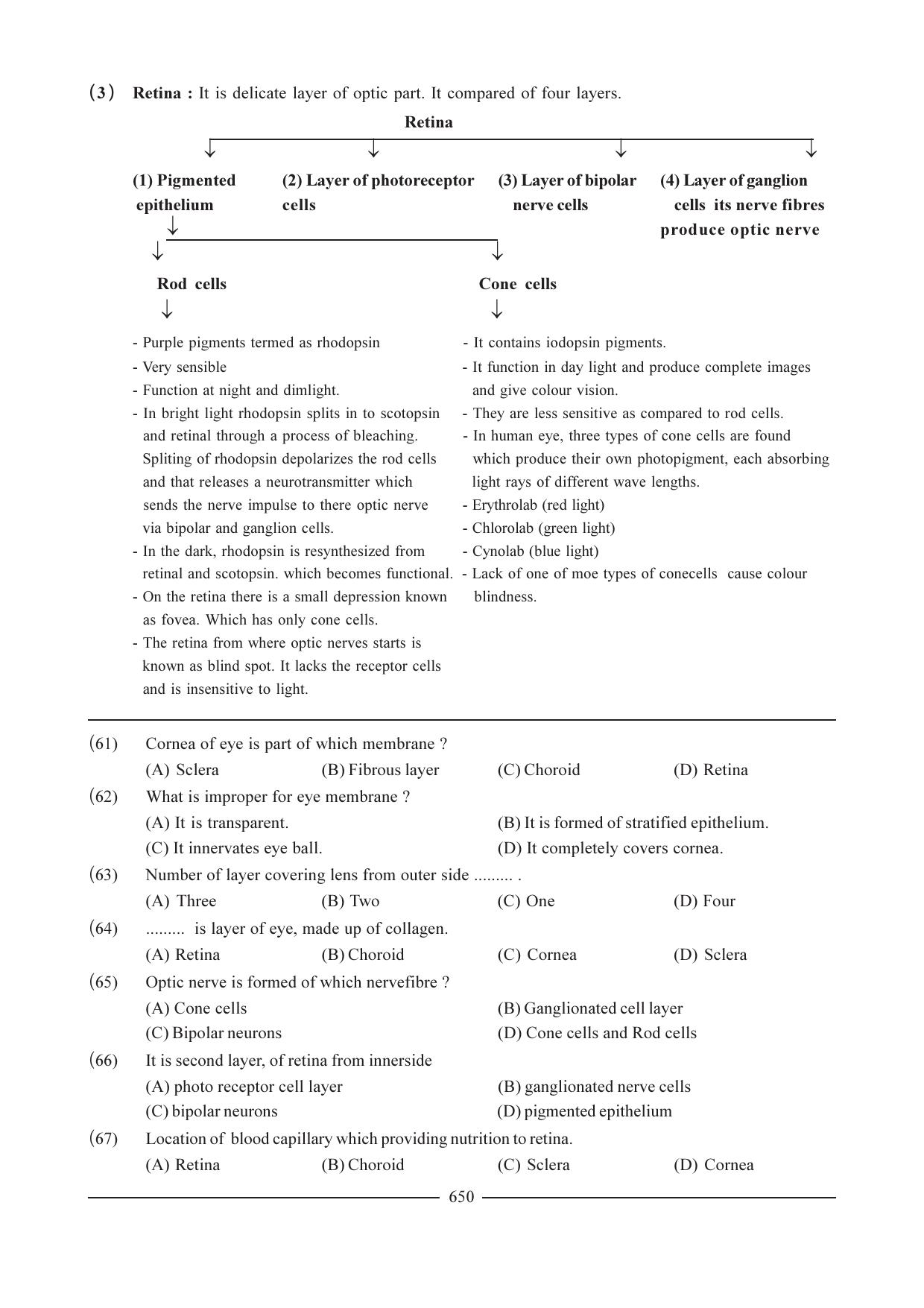 GSEB HSC Biology Question Paper (English Medium)- Chapter 31 - Page 11