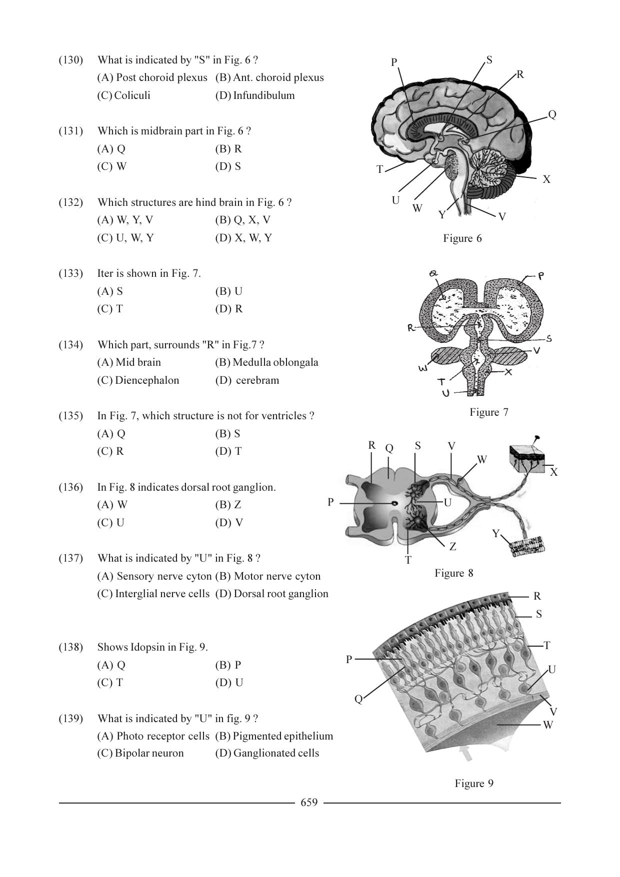 GSEB HSC Biology Question Paper (English Medium)- Chapter 31 - Page 20