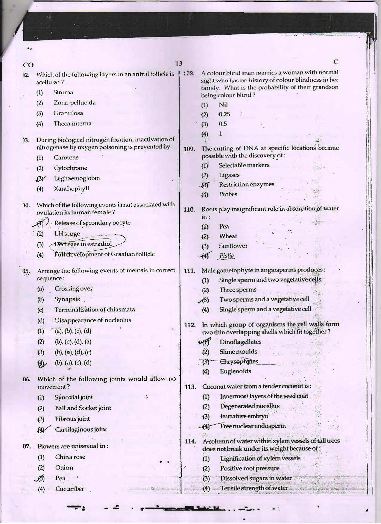 NEET Code C 2015 Question Paper - Page 13